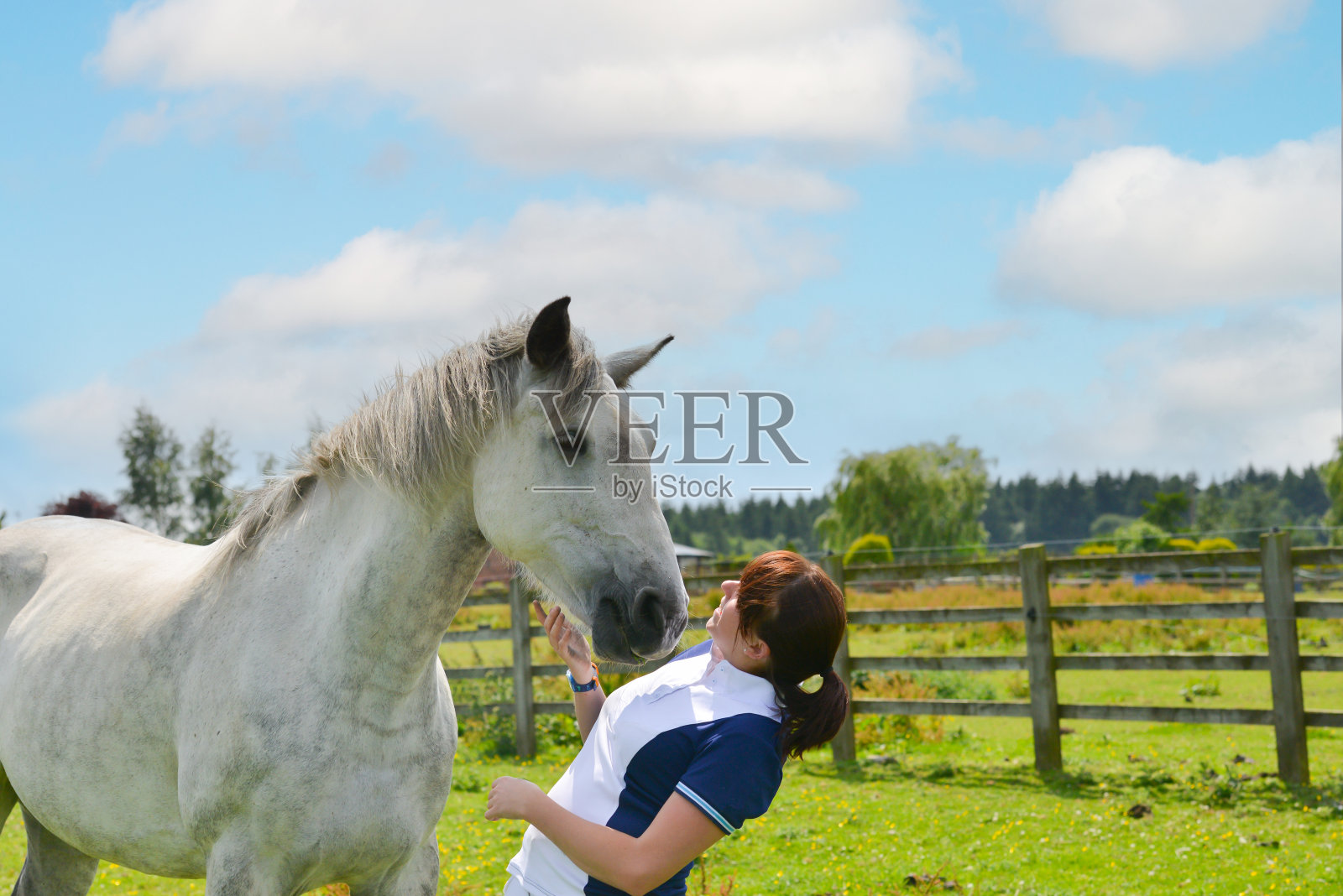 美丽的斑纹灰马和她年轻的女主人在野外分享了一个激动人心的时刻，他们紧紧地站在一起，玩得很开心。照片摄影图片