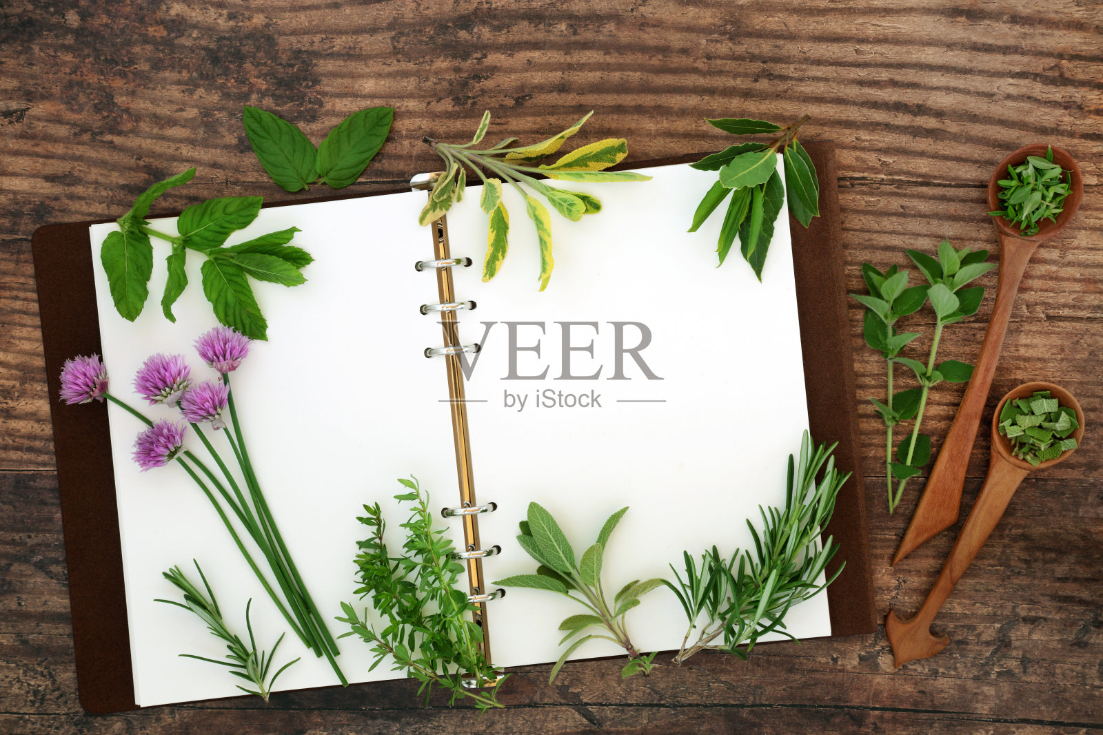 新鲜采摘的香草作为食物调味料照片摄影图片