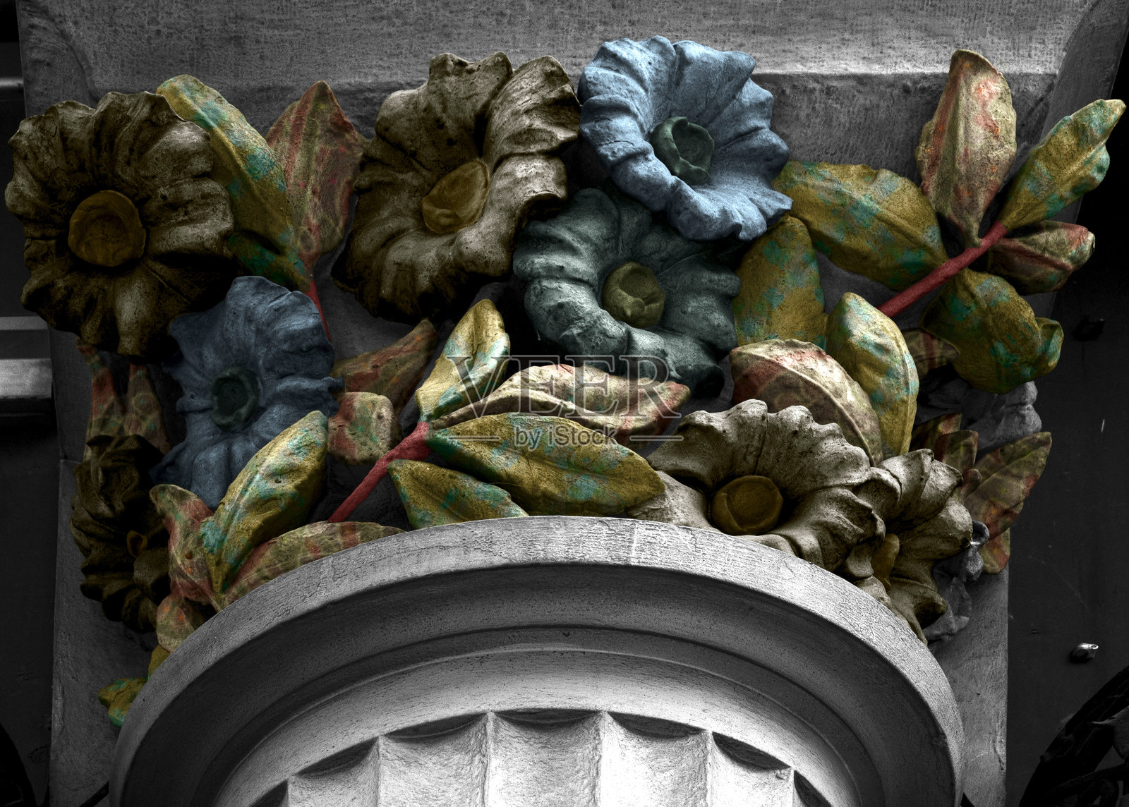 花的资本与叶花卉装饰照片摄影图片