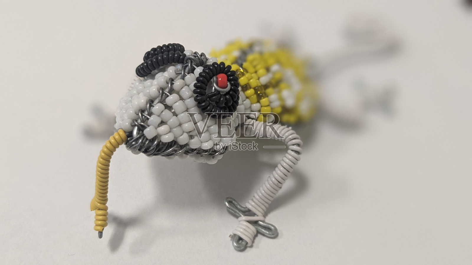 蜥蜴照片摄影图片