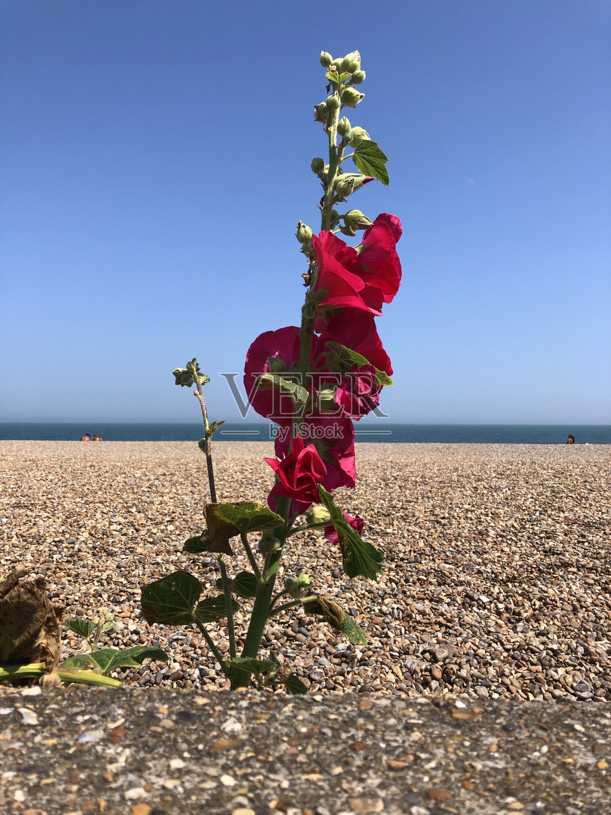 奥尔德堡海滩照片摄影图片