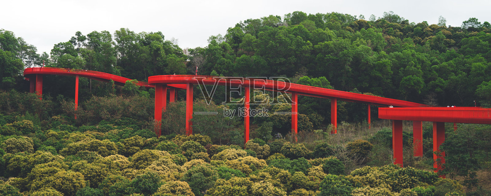 深圳市光明区虹桥公园的红天栈桥照片摄影图片