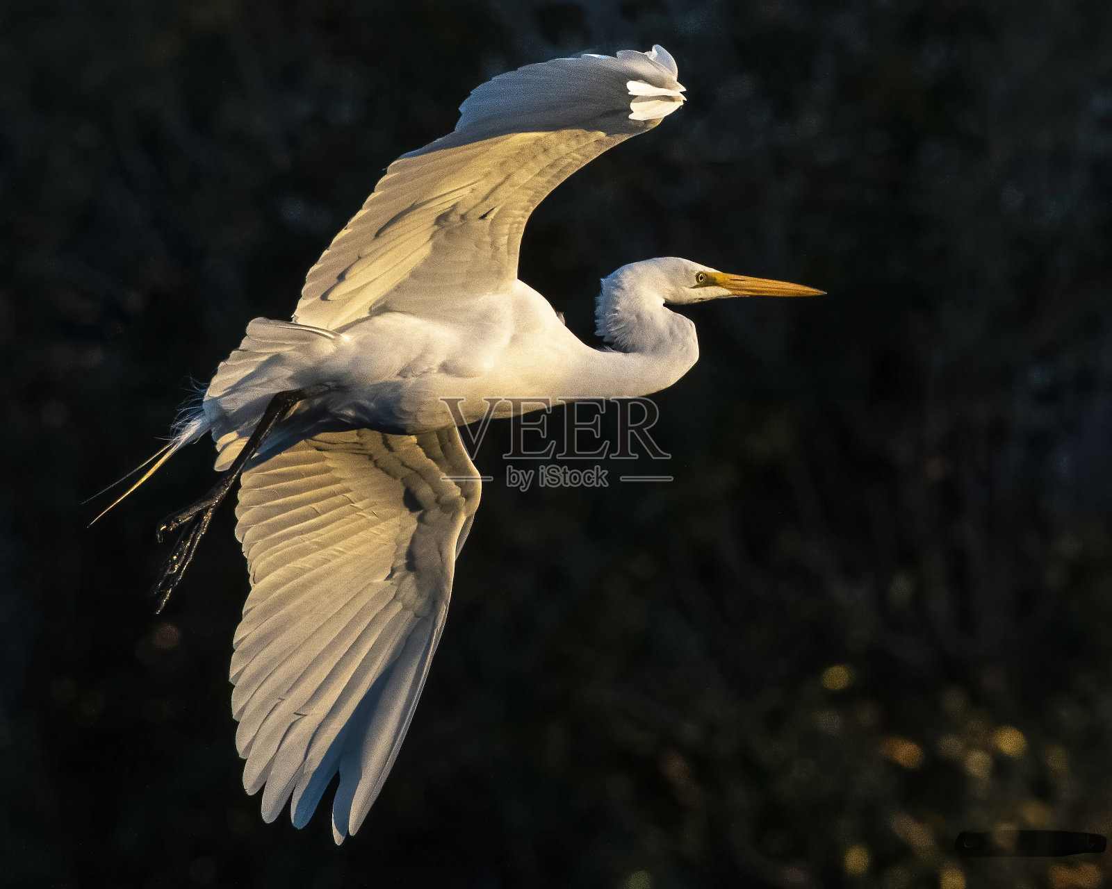 日落飞行照片摄影图片