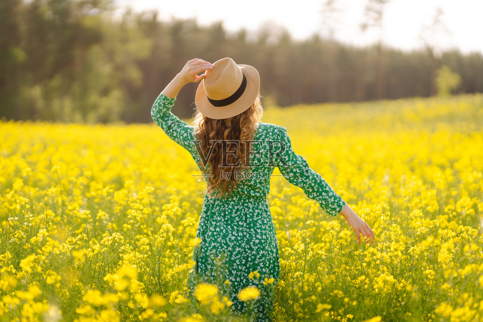 美丽的女人在盛开的田野里。照片摄影图片