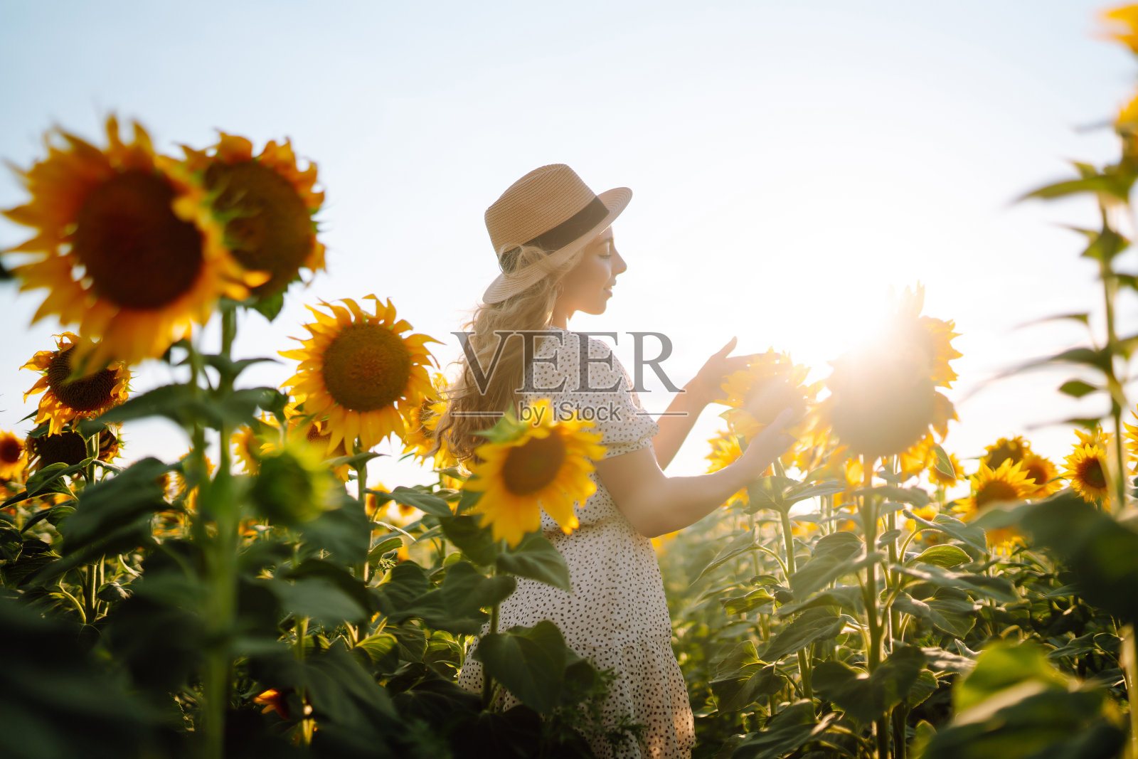 漂亮的女人穿着裙子戴着帽子在向日葵地里摆姿势。时尚、生活方式、旅游度假理念。照片摄影图片