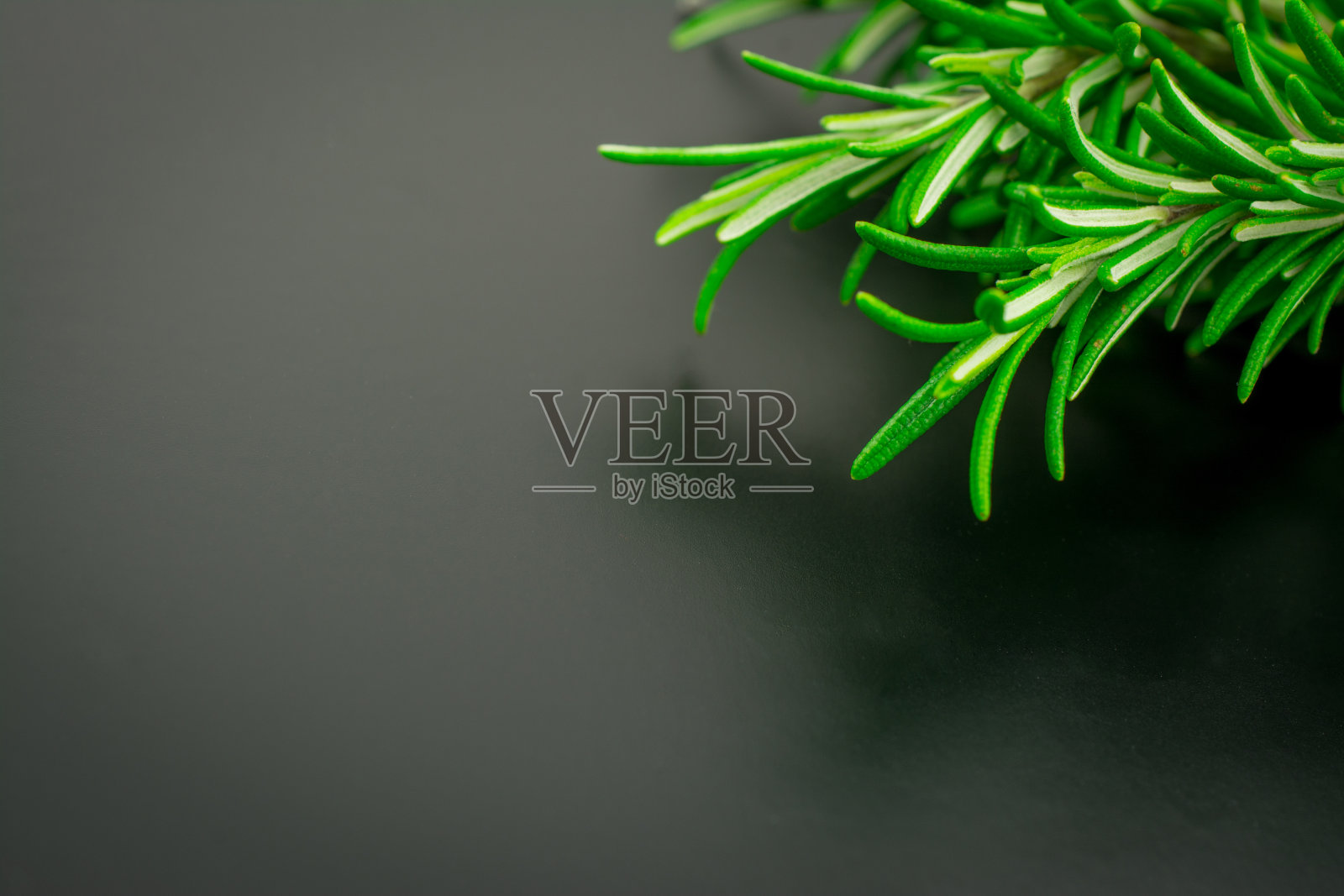 迷迭香开花分枝黑色背景照片摄影图片