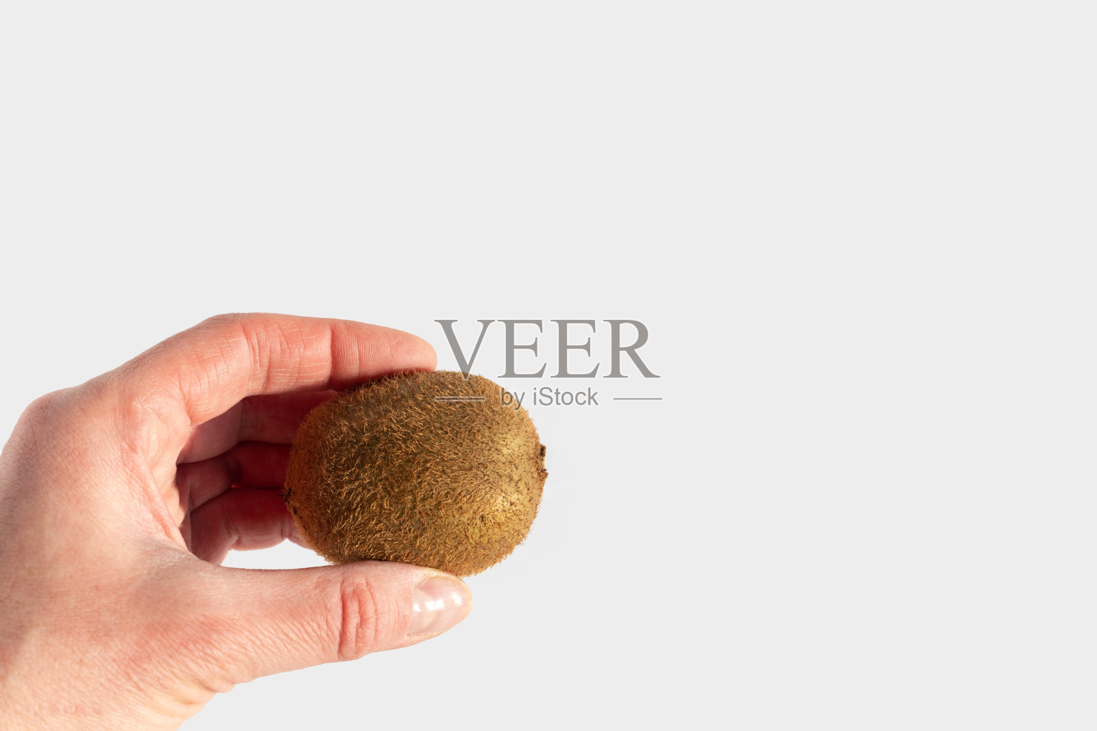 手握成熟的未剥皮猕猴桃在白色背景，复制空间。猕猴桃是一种天然的饮食产品照片摄影图片