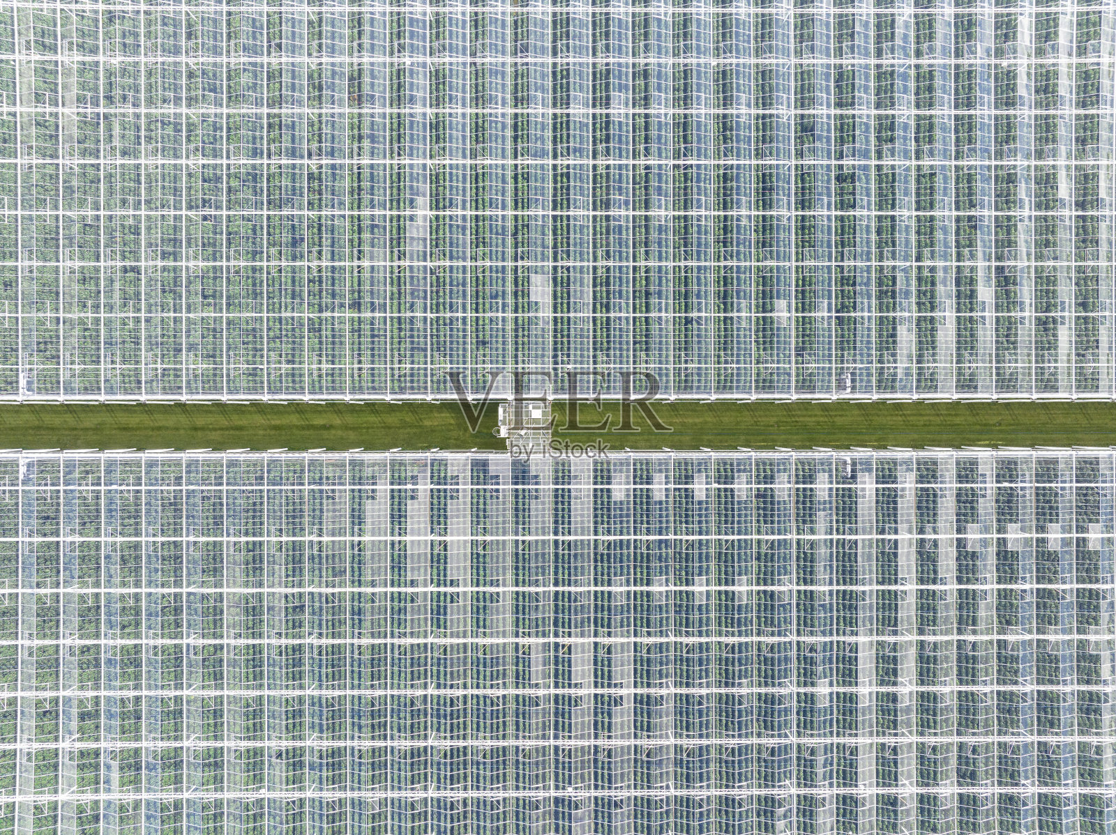 从空中俯瞰种植蔬菜的温室照片摄影图片