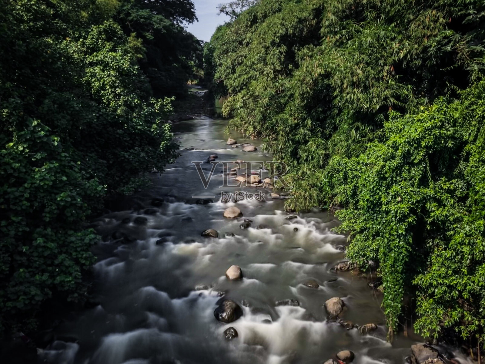 在森林中央有一条河照片摄影图片
