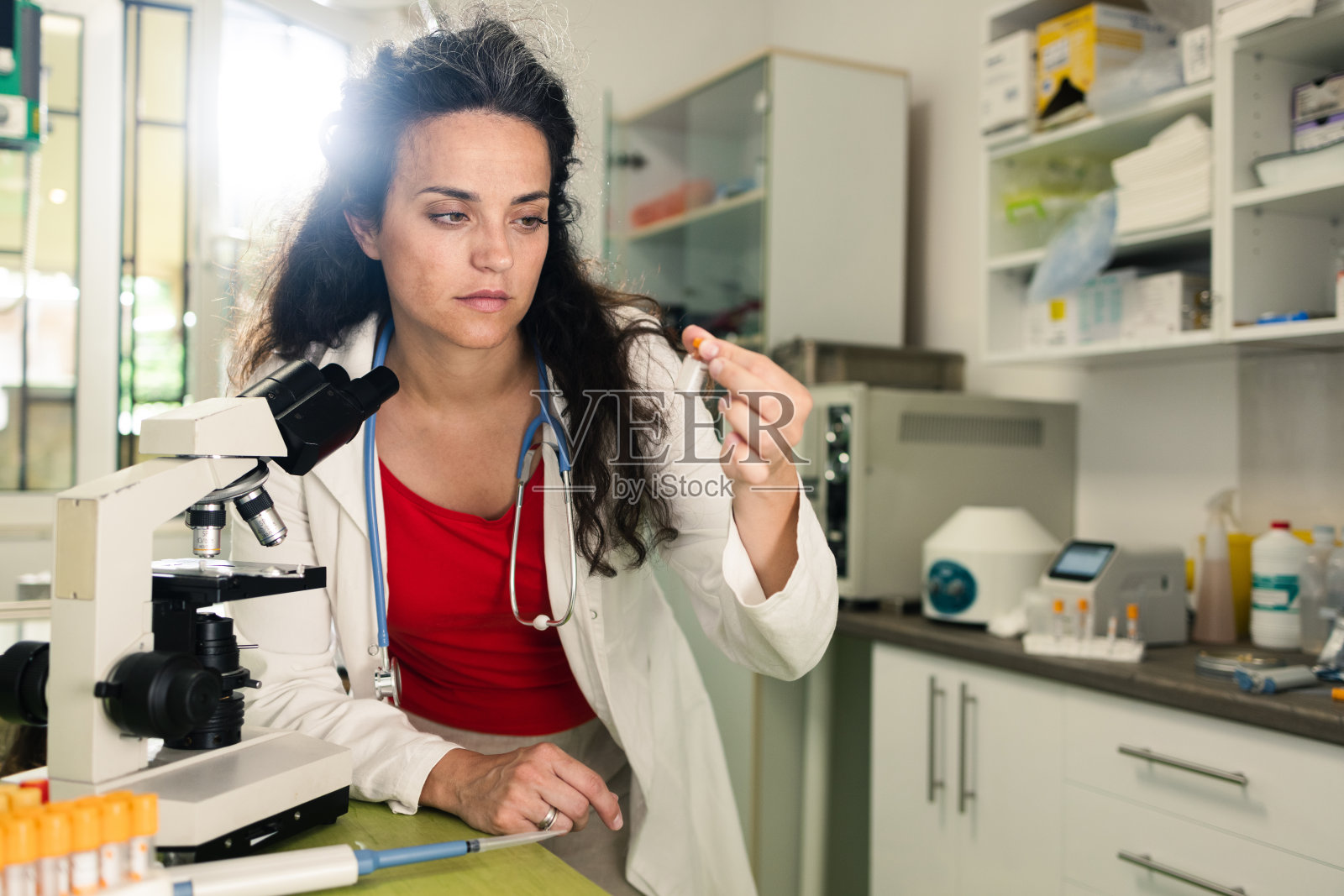 诊所的兽医照片摄影图片