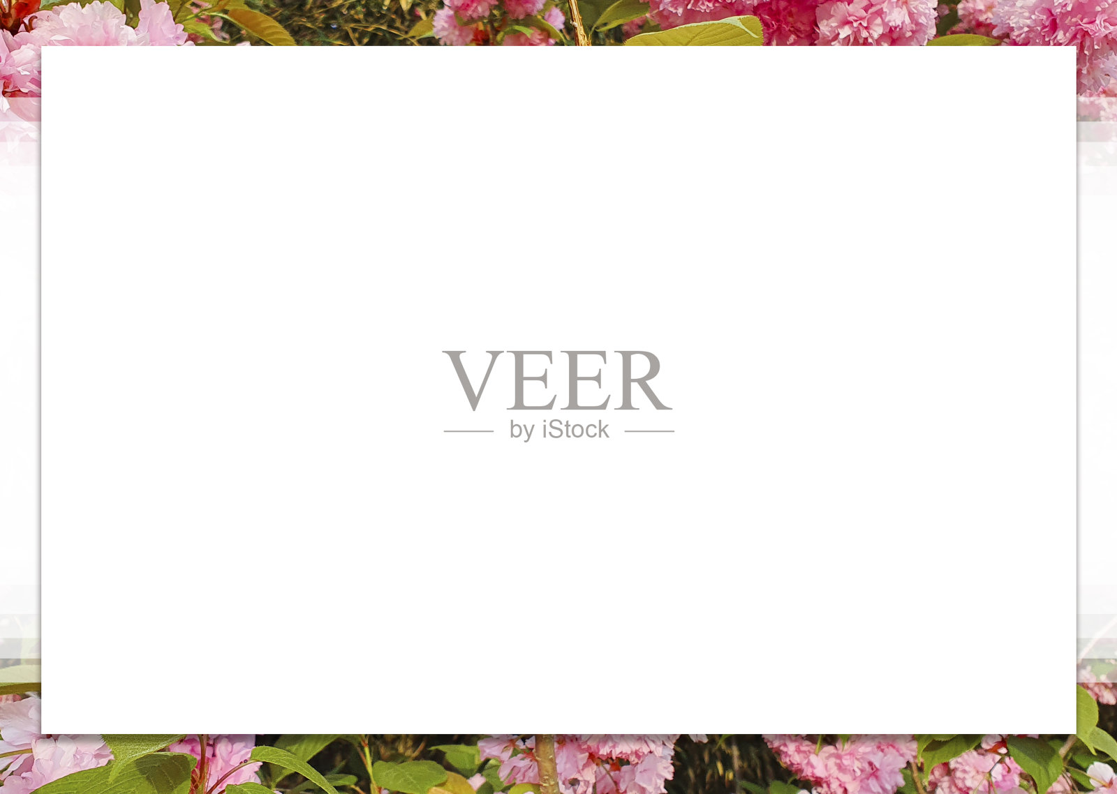 这是一张A3大小的图片，适合用作设计编辑背景。照片摄影图片