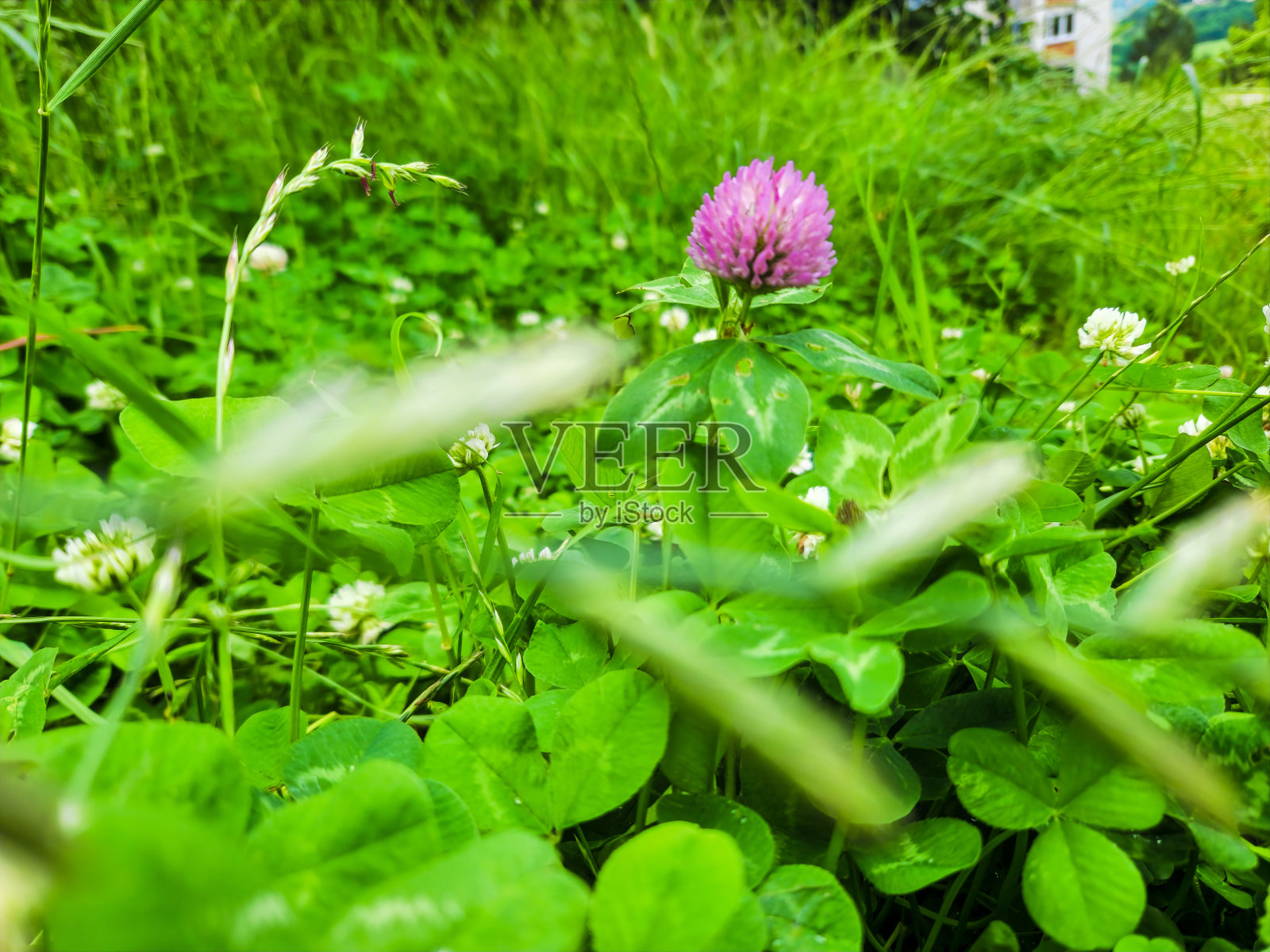 热爱大自然的人照片摄影图片