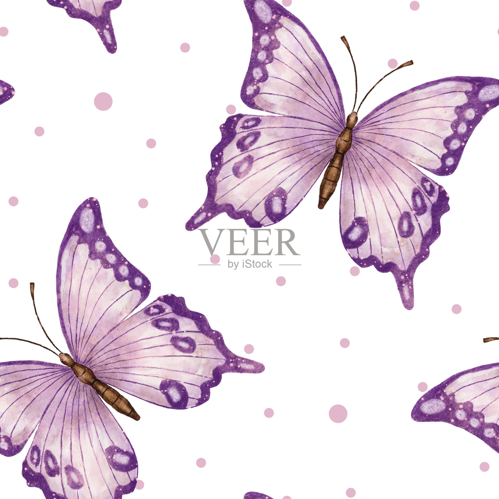蝴蝶。水彩无缝图案与紫罗兰蝴蝶。野性的大自然。昆虫的插图。插画图片素材