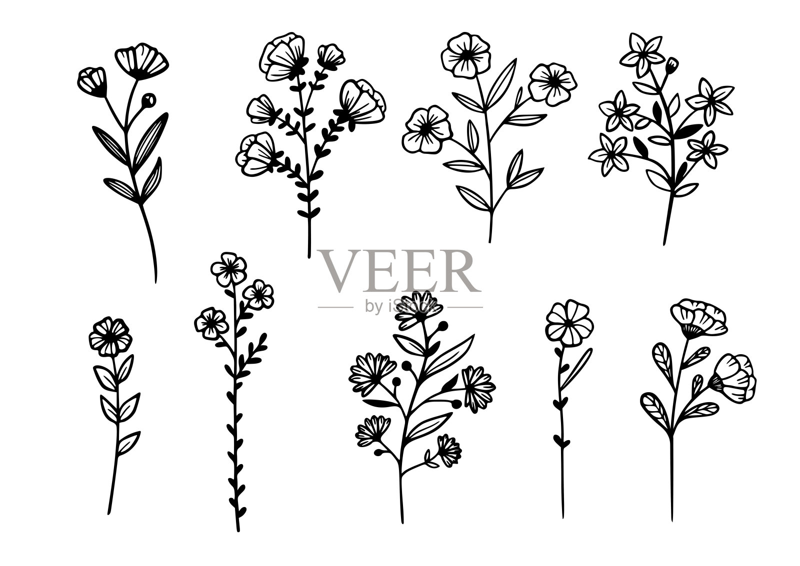 花卉植物线条艺术简单绘制集。插画图片素材
