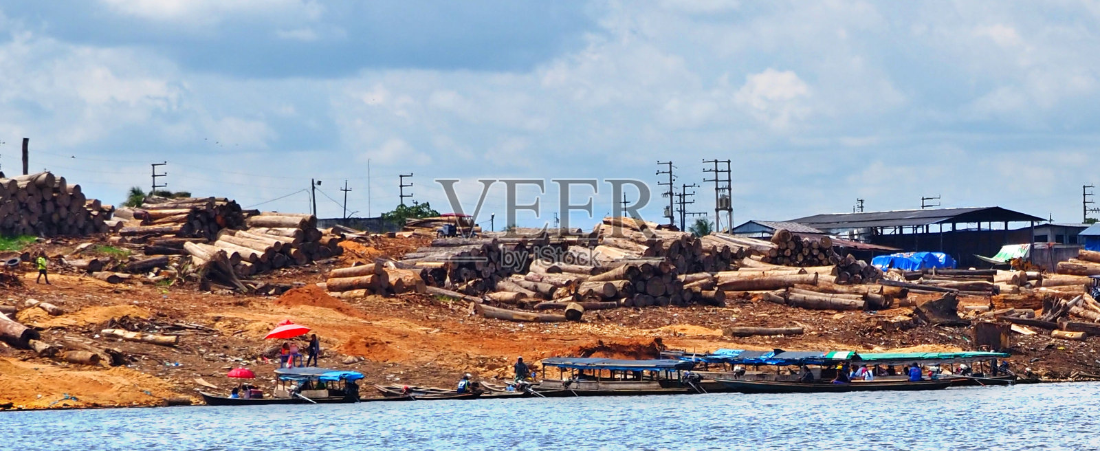 亚马逊沿岸的景色照片摄影图片