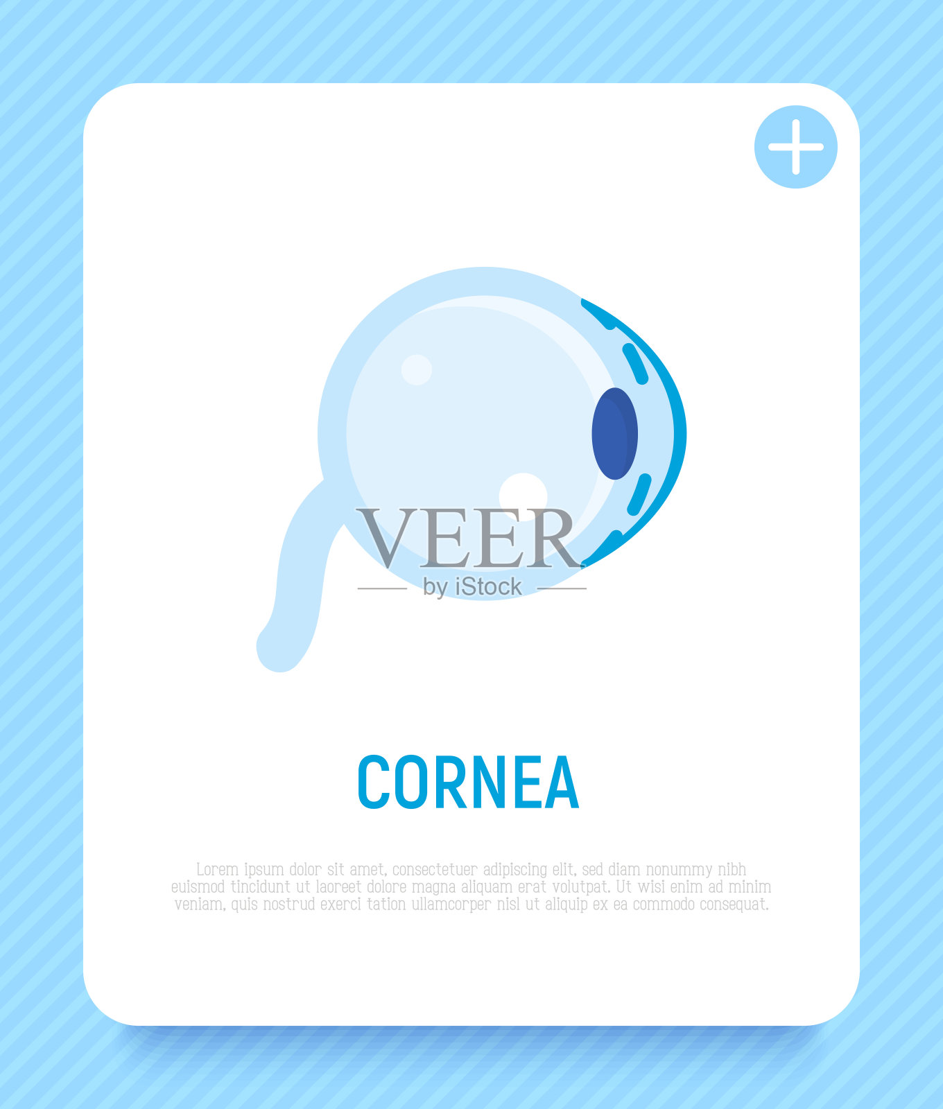 角膜扁平图标。人眼的结构。眼科。矢量插图。插画图片素材