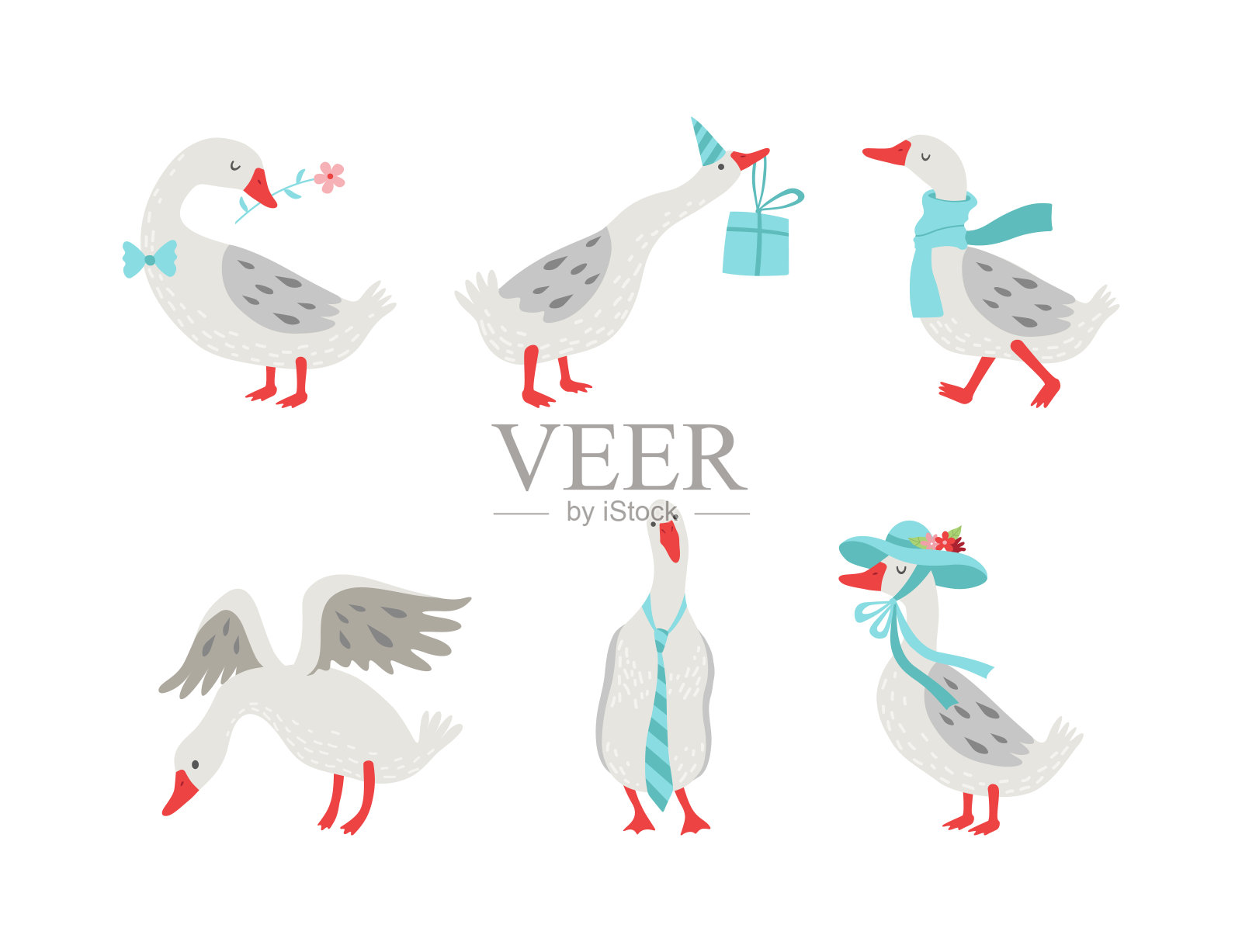 可爱的鹅字符与花，礼盒，围巾和帽子集。家禽在各种姿势的卡通矢量插图插画图片素材