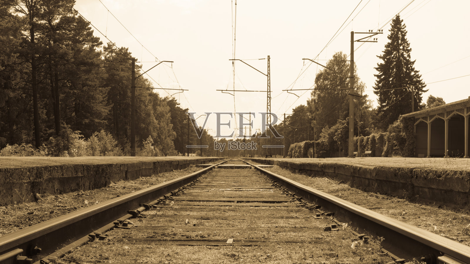 森林边的铁路，甜蜜的旧时光照片摄影图片