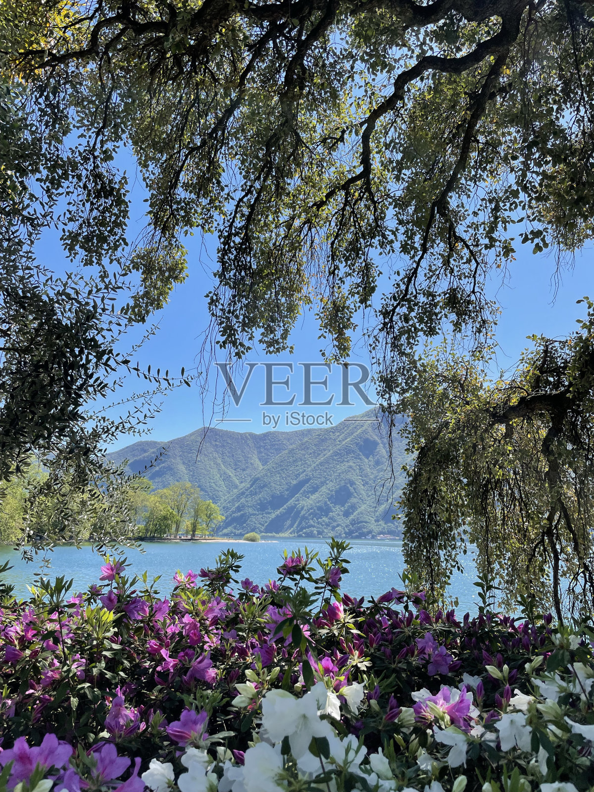 卢加诺湖照片摄影图片