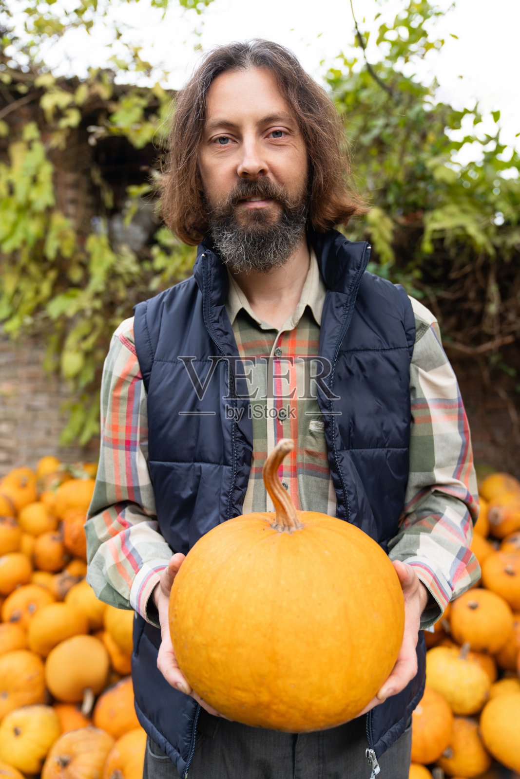 留着胡子的农民带着南瓜照片摄影图片