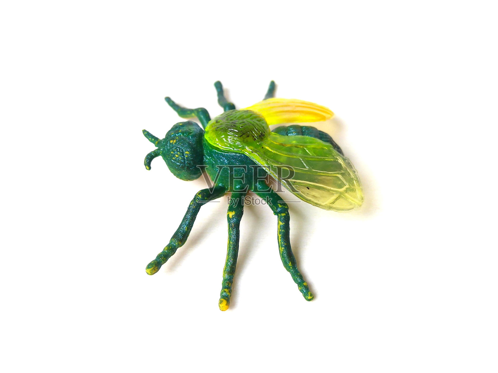 白色背景上孤立的绿蝇昆虫玩具特写。照片摄影图片
