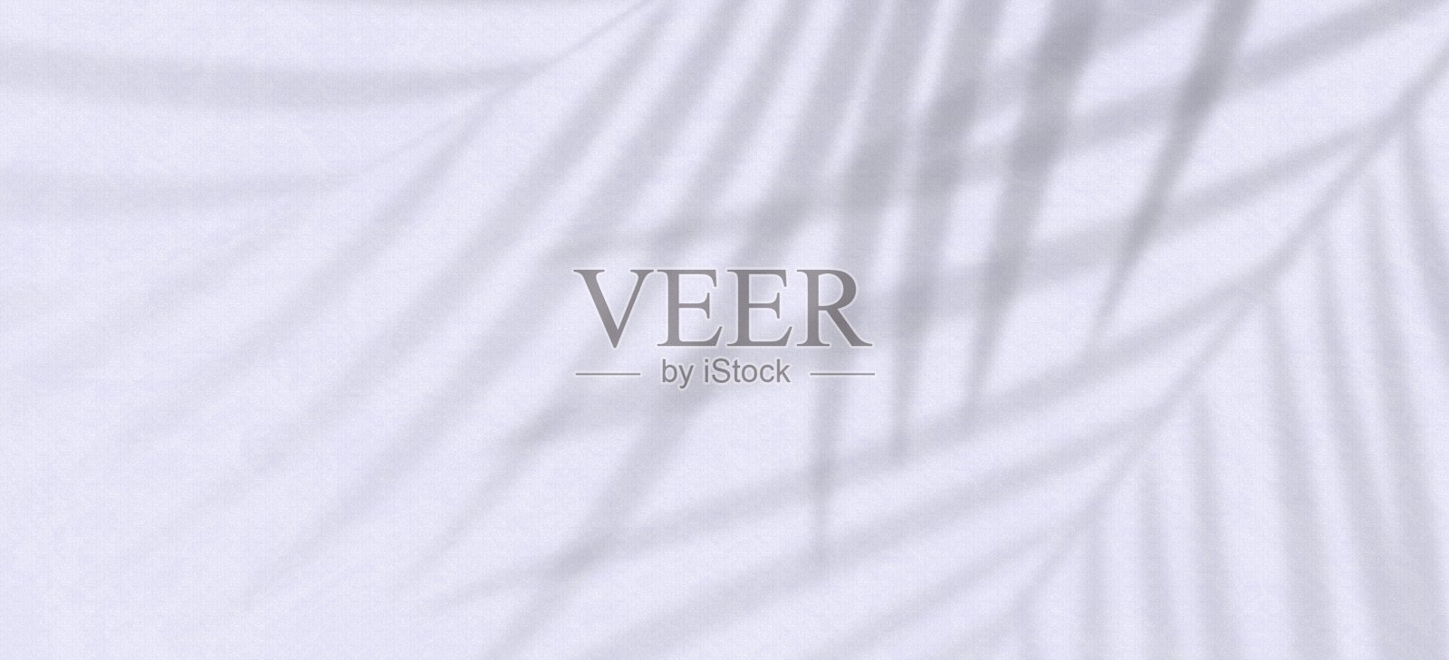 轮廓，棕榈叶的阴影在浅灰色的背景与细木纹纹理。照片摄影图片