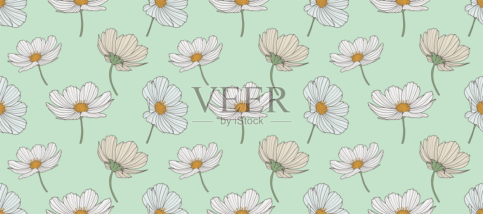 绿色无缝图案与精致的雏菊。用于纺织品、包装纸、封面、壁纸、物品设计的花卉图案。印花。插画图片素材