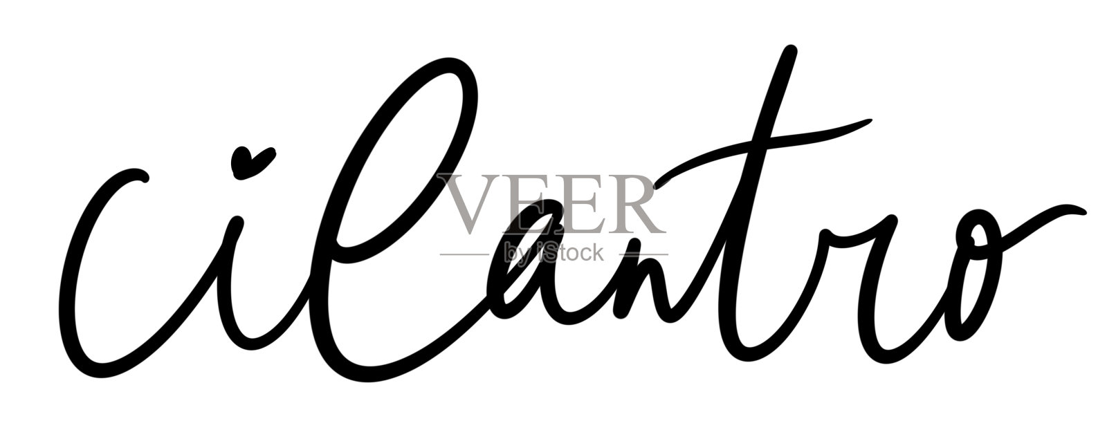 简单的设计元素字体书法时尚的黑色毛笔调味名称香草香菜手工风格包装印刷插画图片素材