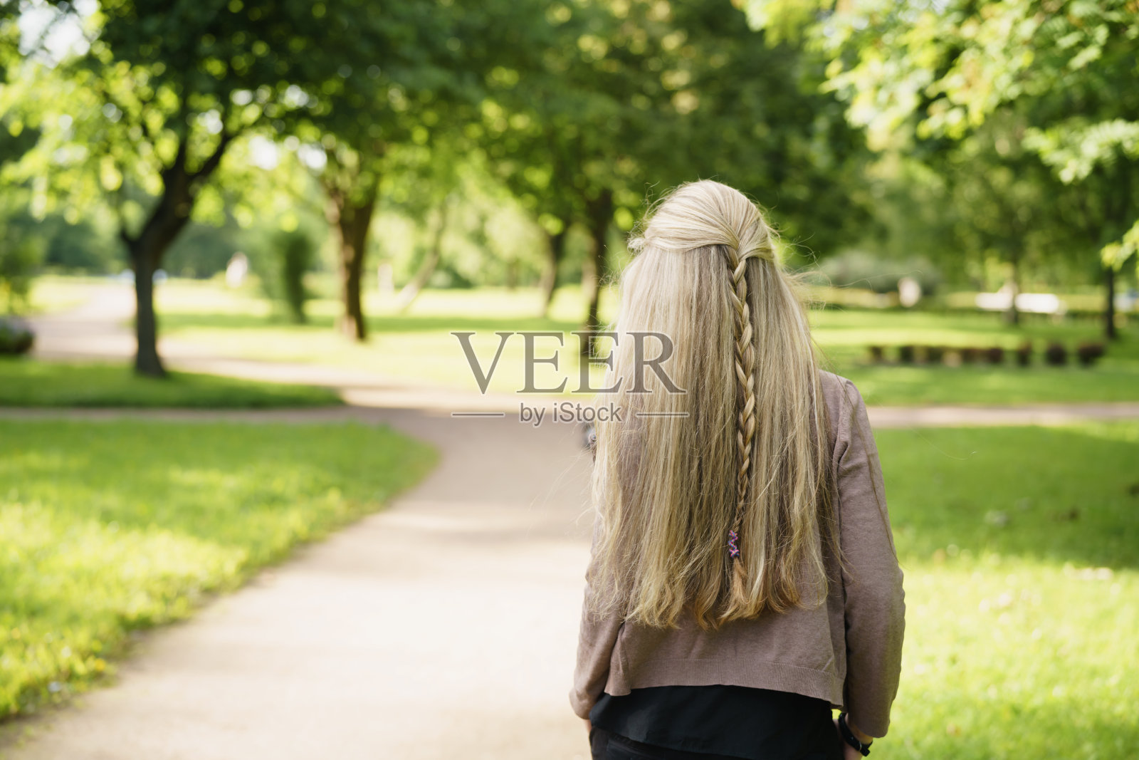 阳光明媚的夏日傍晚，在绿色公园里的少女（背面）照片摄影图片