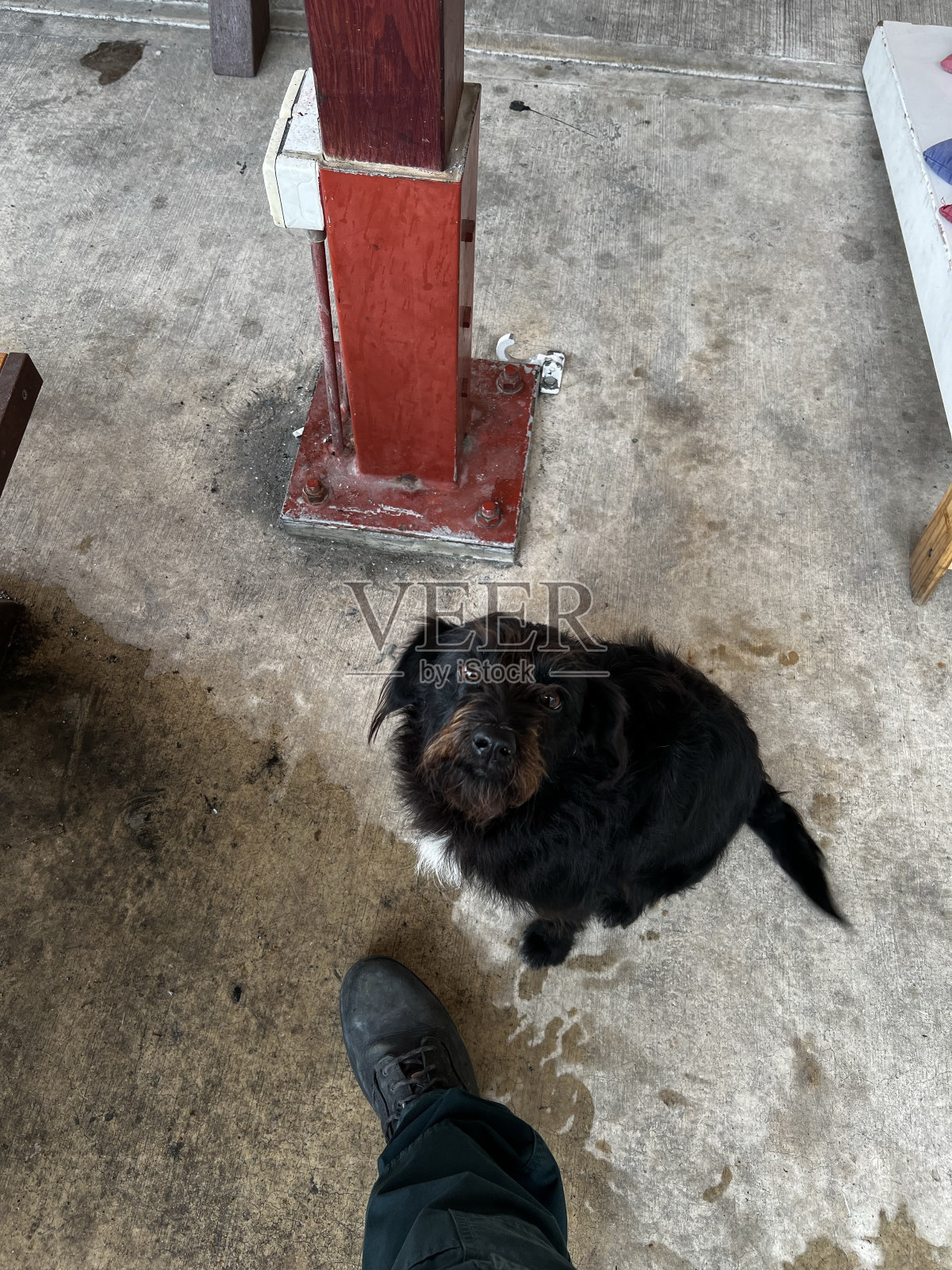 有治疗吗?照片摄影图片