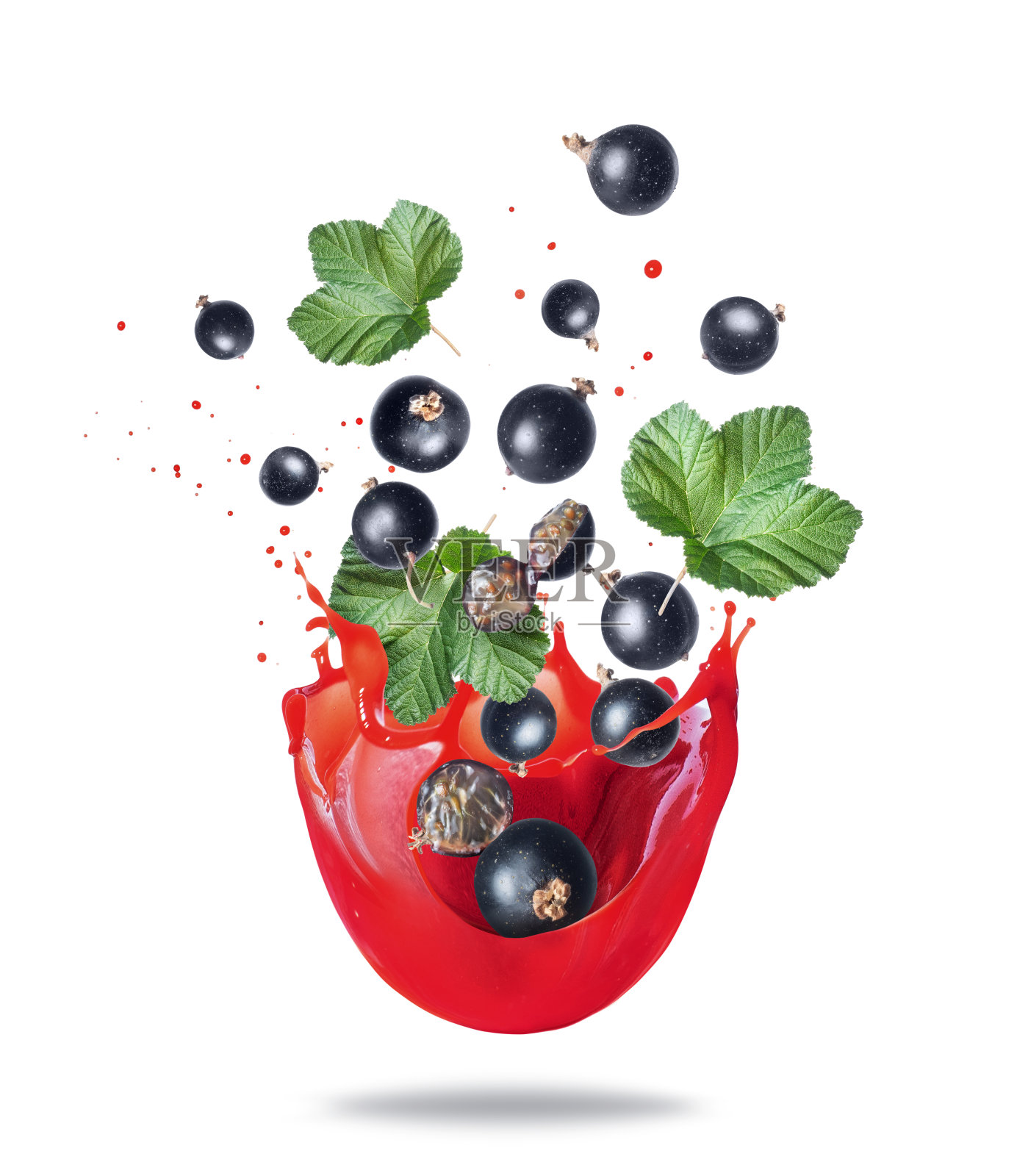 成熟的黑加仑子与叶子在新鲜果汁飞溅，孤立在白色背景照片摄影图片