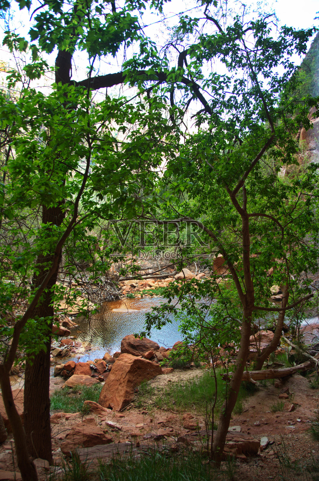 锡安国家公园的瀑布照片摄影图片