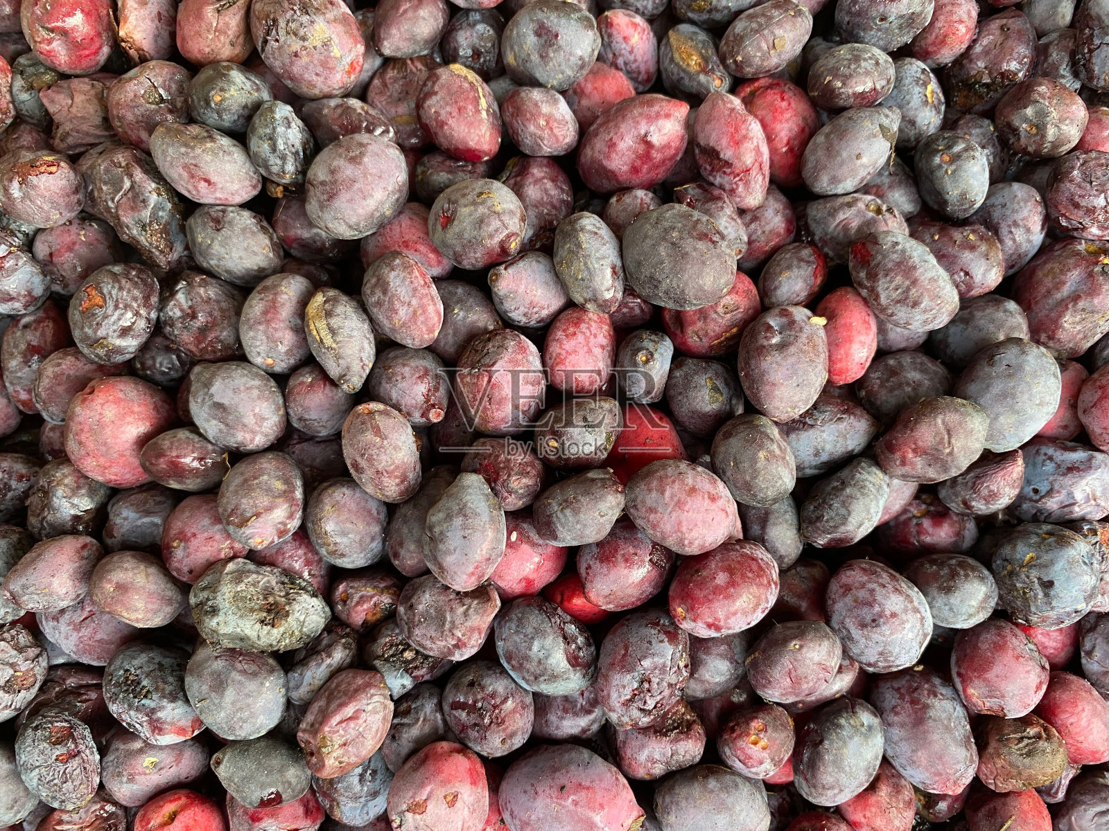 堆的Damson李子，Terminalia microcarpa, Kalumpit过成熟的菲律宾本土食用酸水果。背景,纹理照片摄影图片