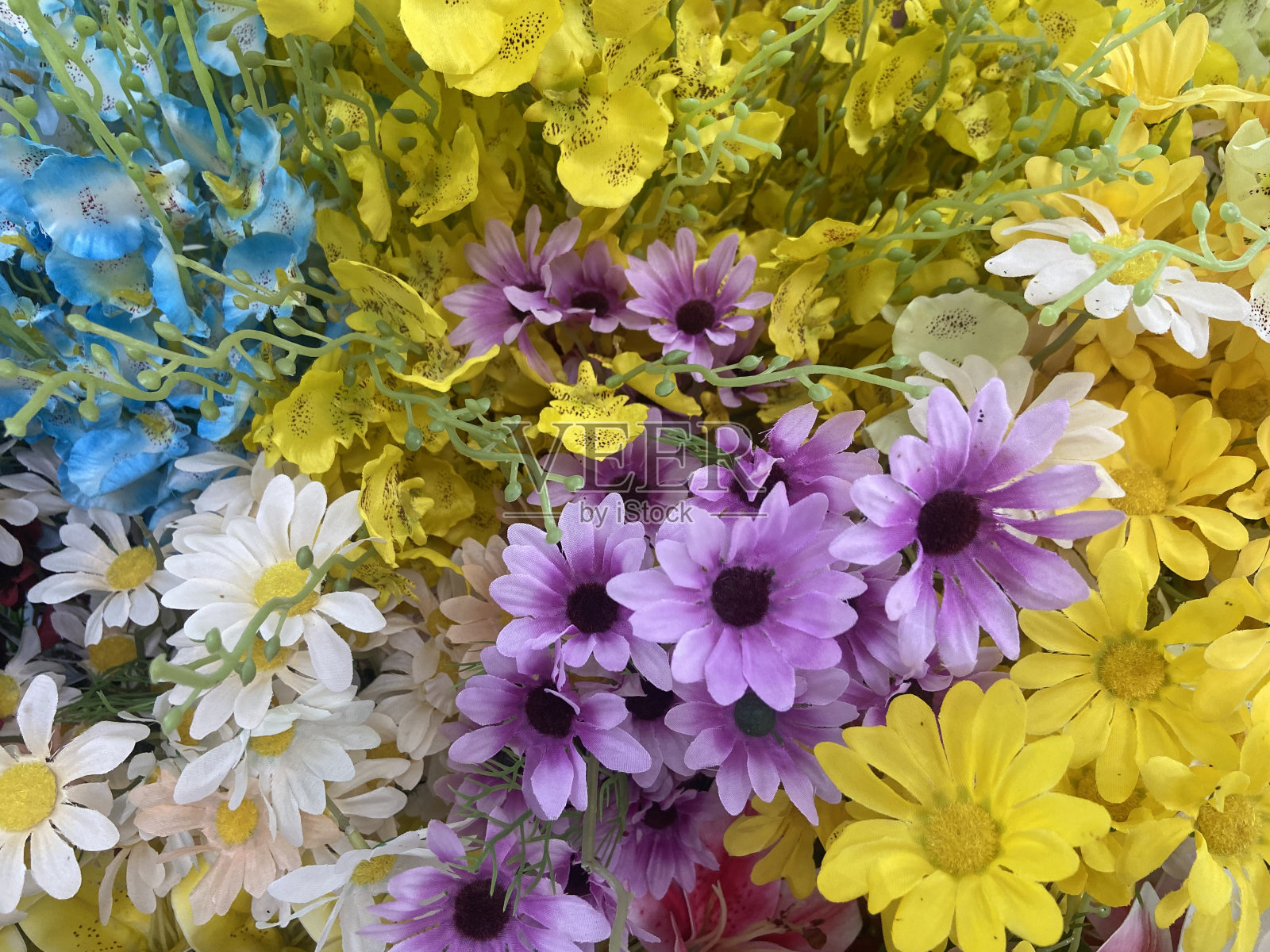 春天的花纸照片摄影图片