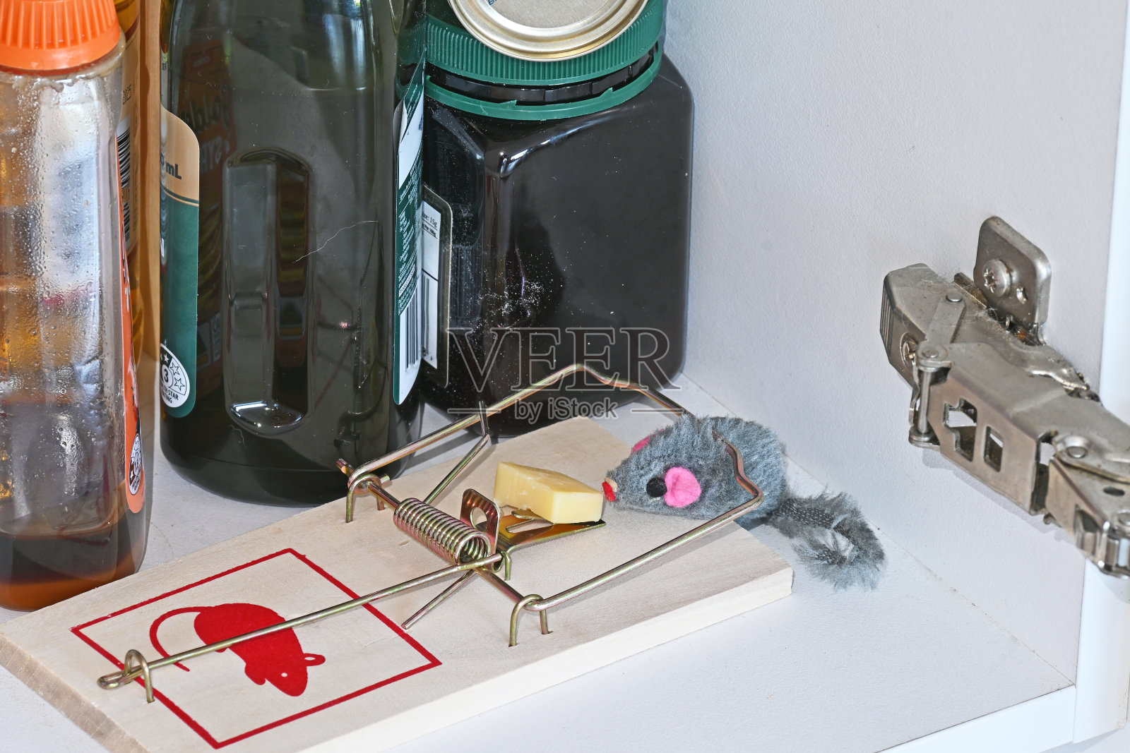 捕鼠器里的玩具老鼠照片摄影图片