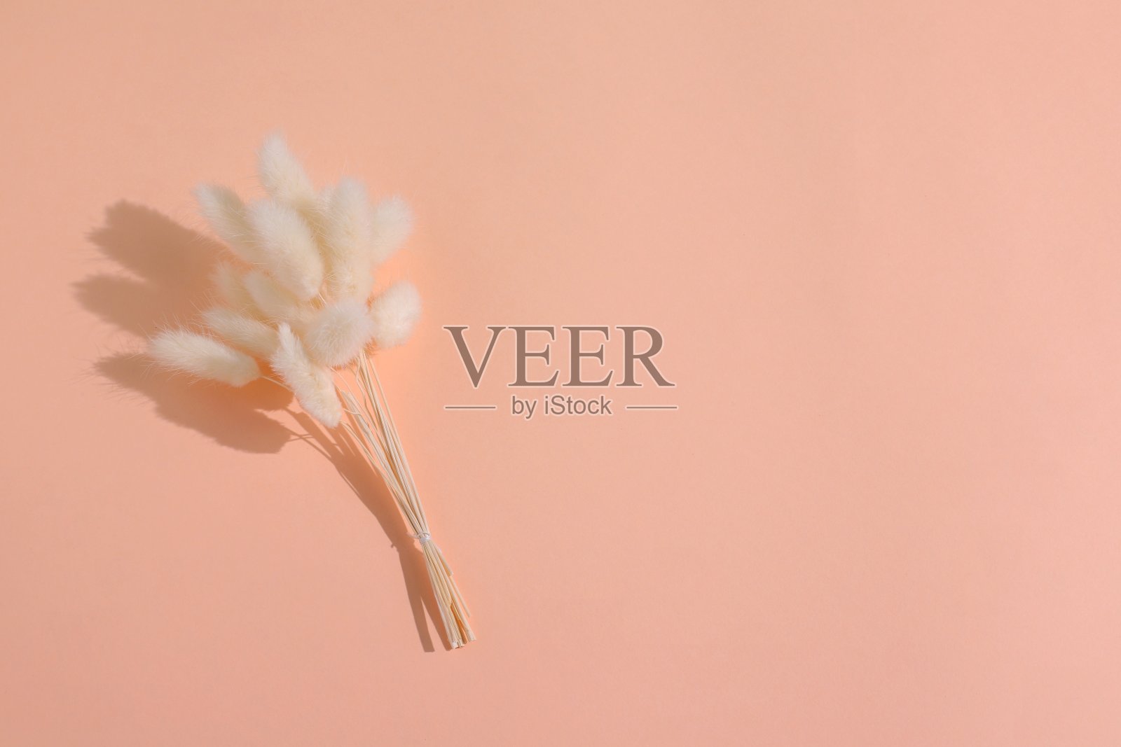 干米色花束，花装饰，复制空间照片摄影图片