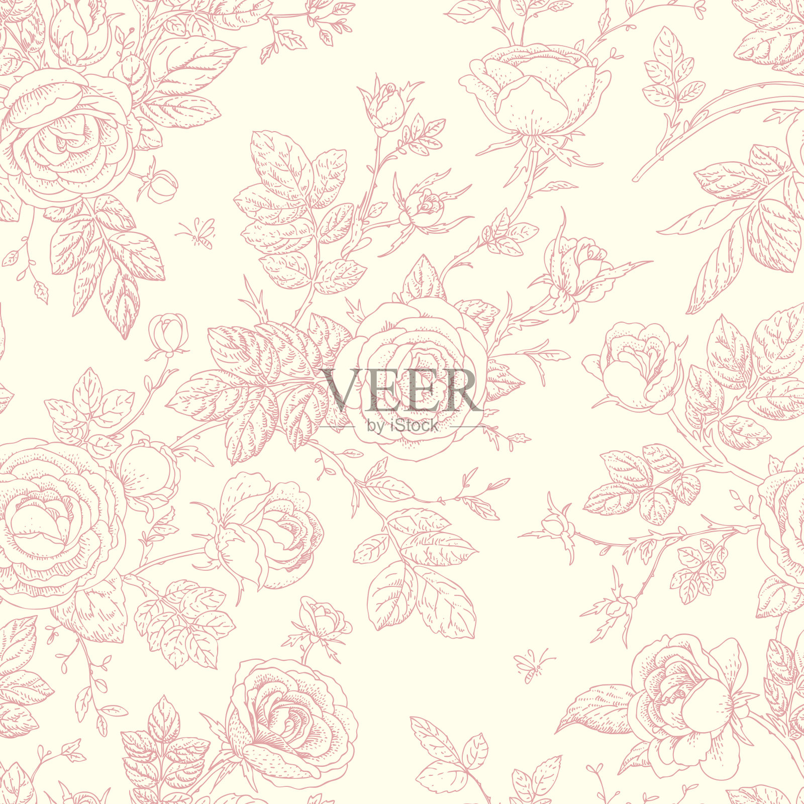 粉红色单线玫瑰图形在白色的背景插画图片素材