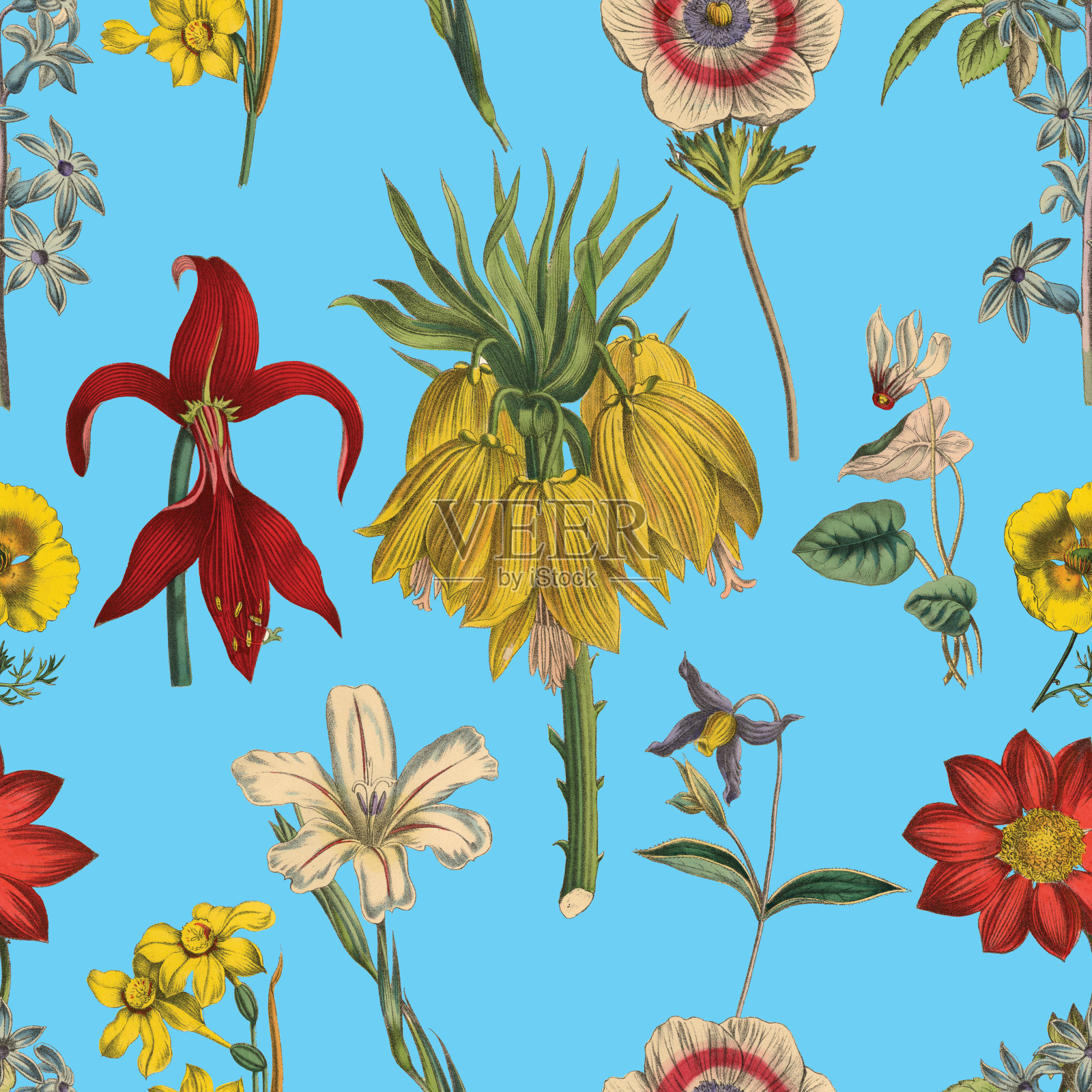维多利亚植物，手工着色，无缝重复图案。现实的盛开孤立的花复古织物背景。美丽的村舍花园和野花。壁纸巴洛克风格。绘画雕刻。维多利亚时代的插图。插画图片素材