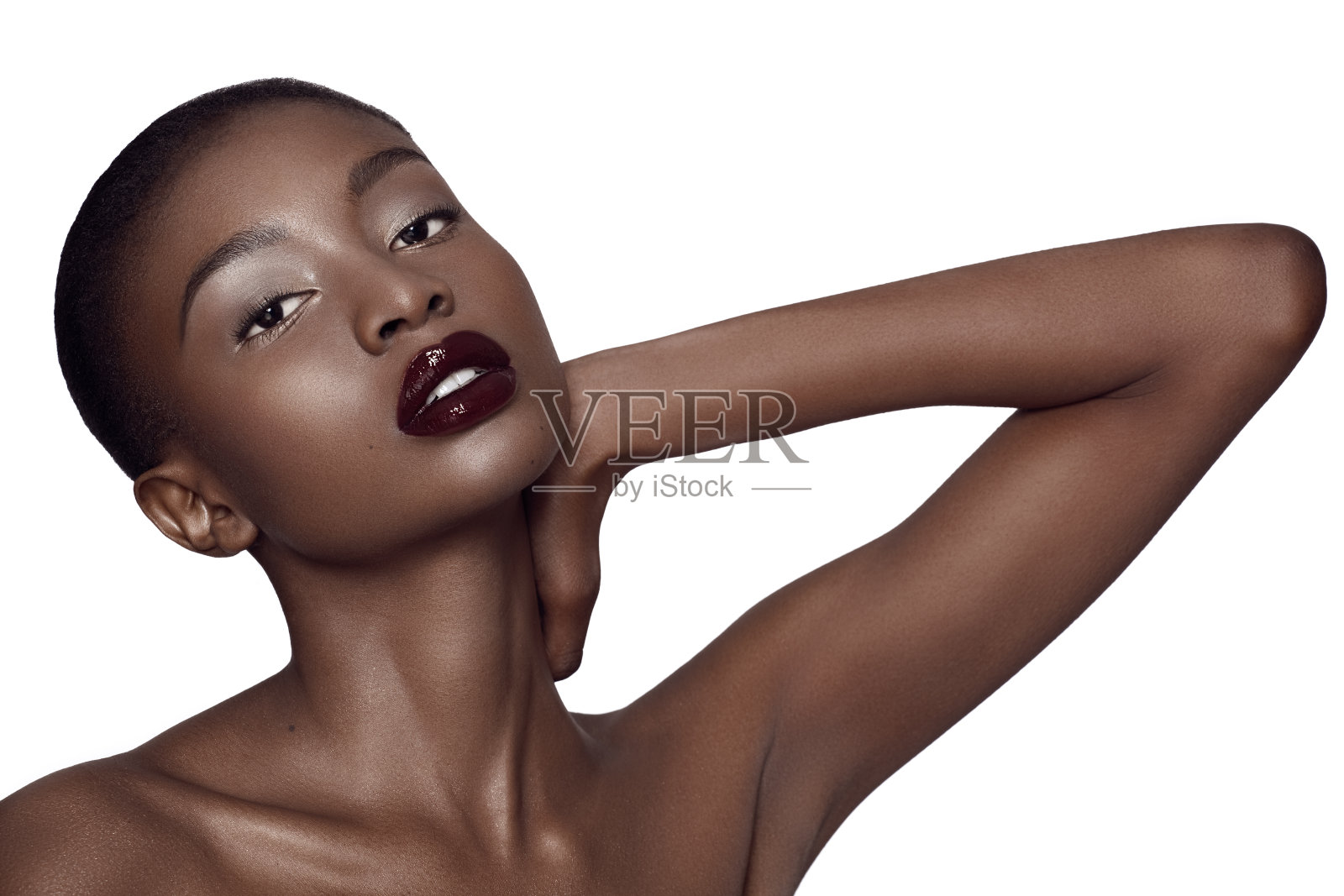 《黑骏马》照片摄影图片