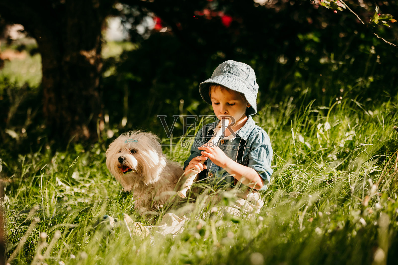 时尚儿童与宠物狗在公园吹笛子玩耍照片摄影图片