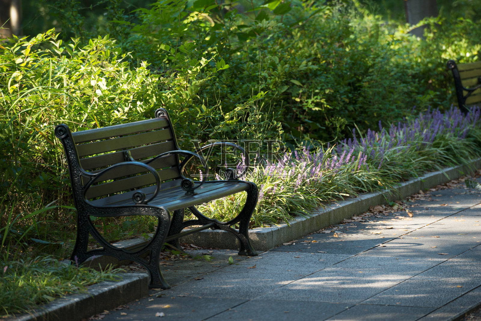 宇津保公园照片摄影图片