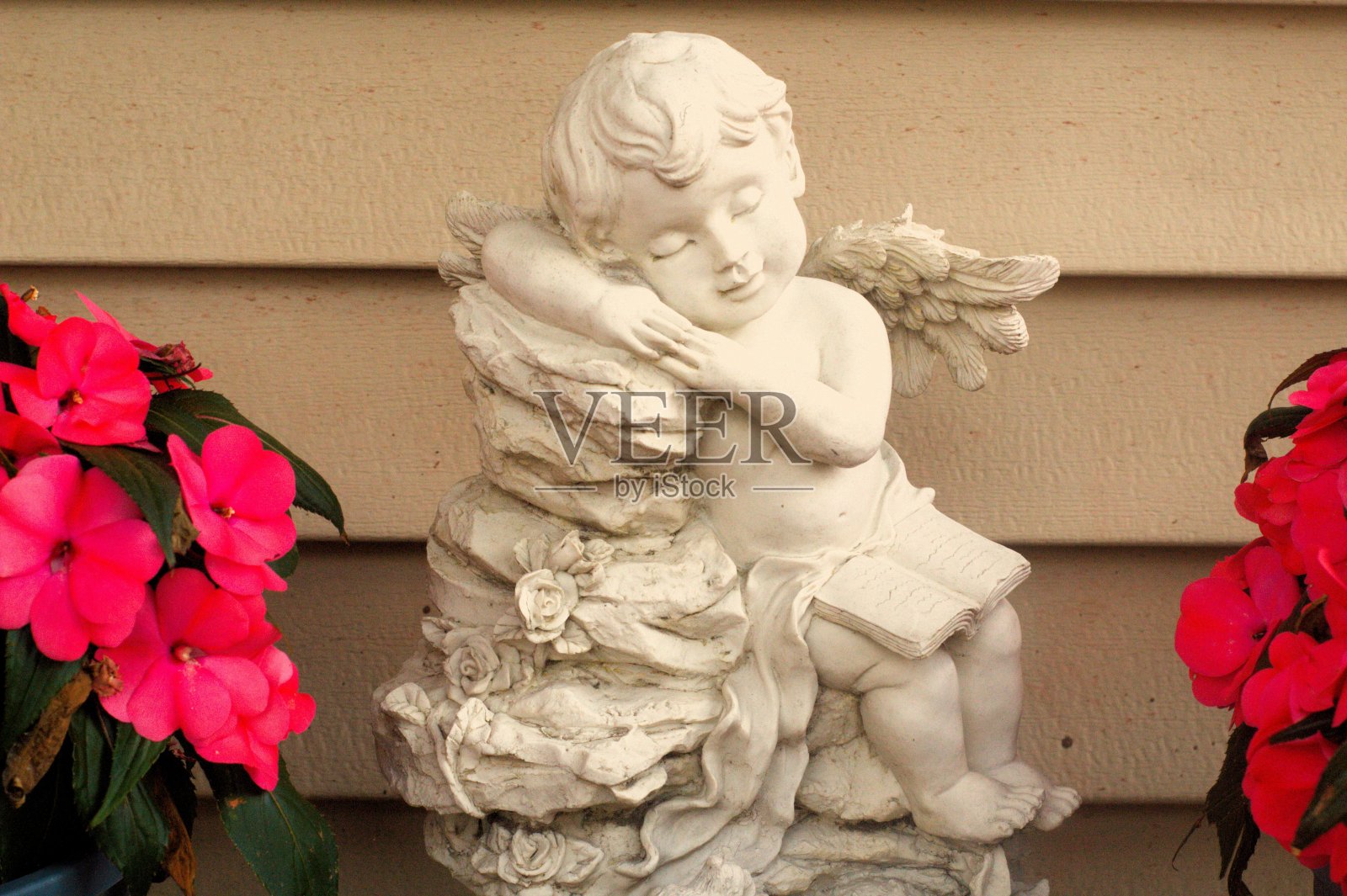 天使照片摄影图片