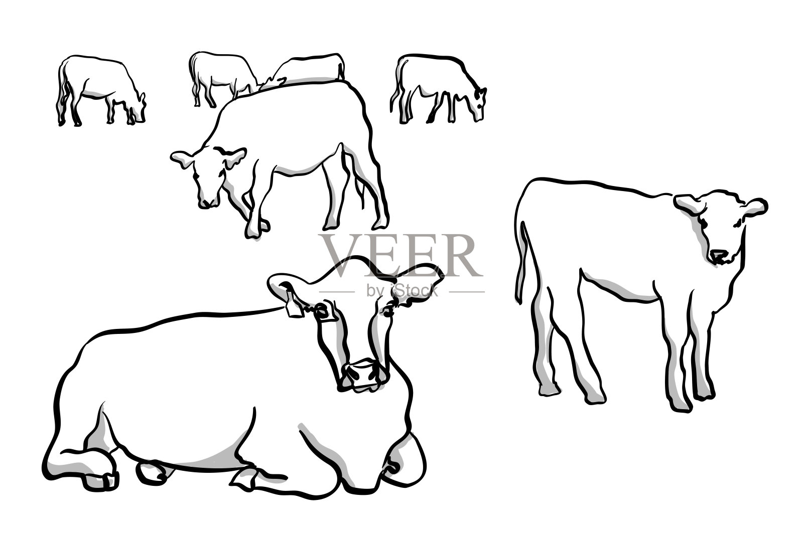 母牛和小牛插画图片素材