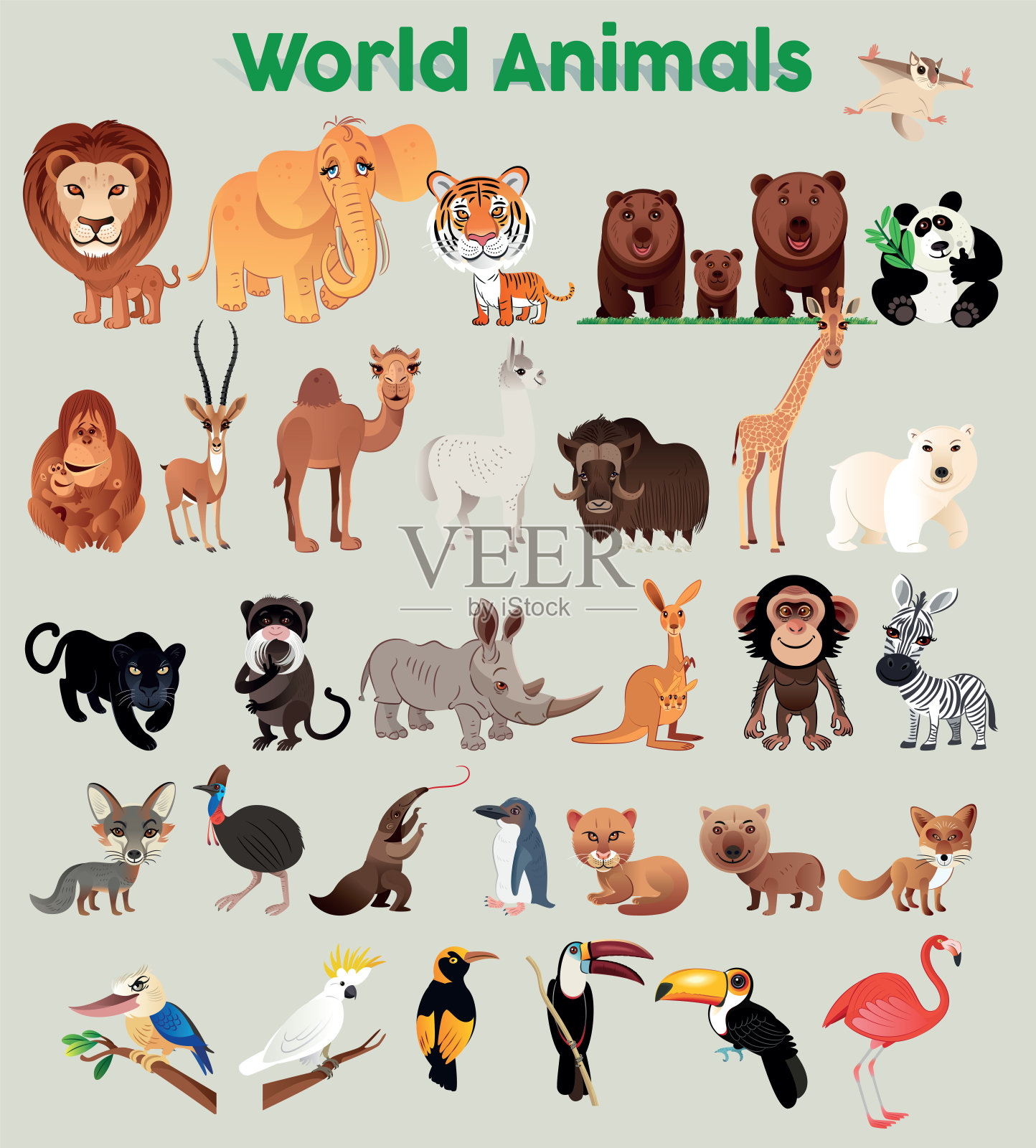 世界上的动物插画图片素材