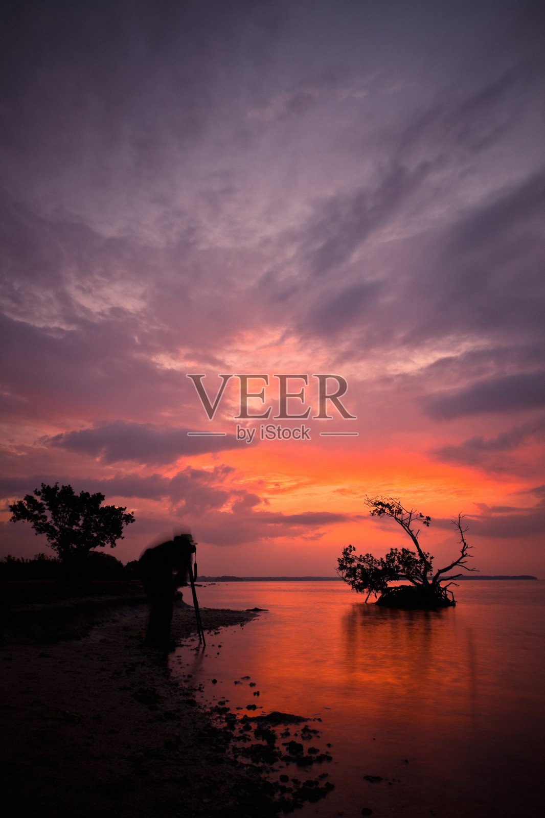 日出大沼泽地国家公园，大自然摄影师在行动照片摄影图片