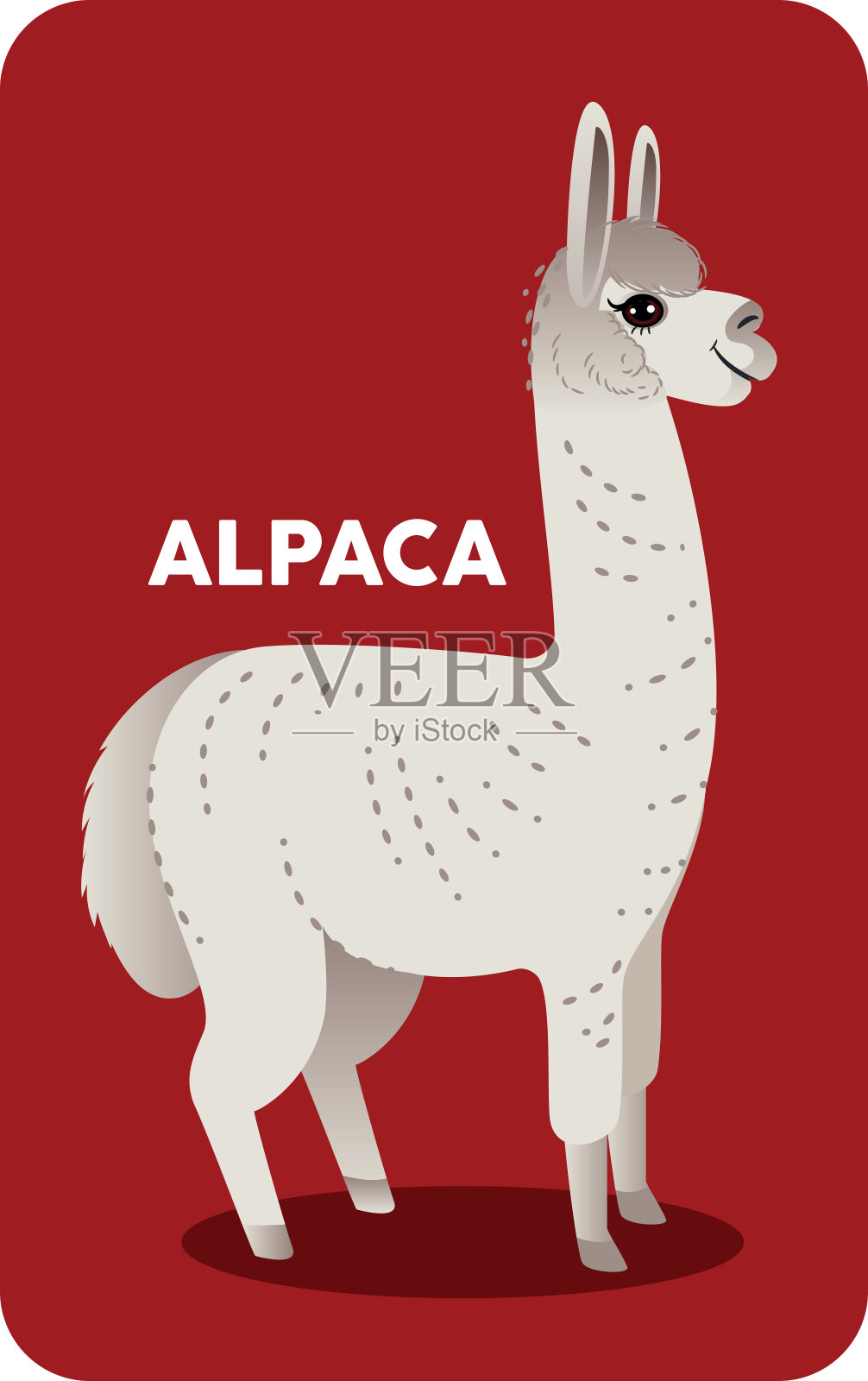 羊驼插画图片素材