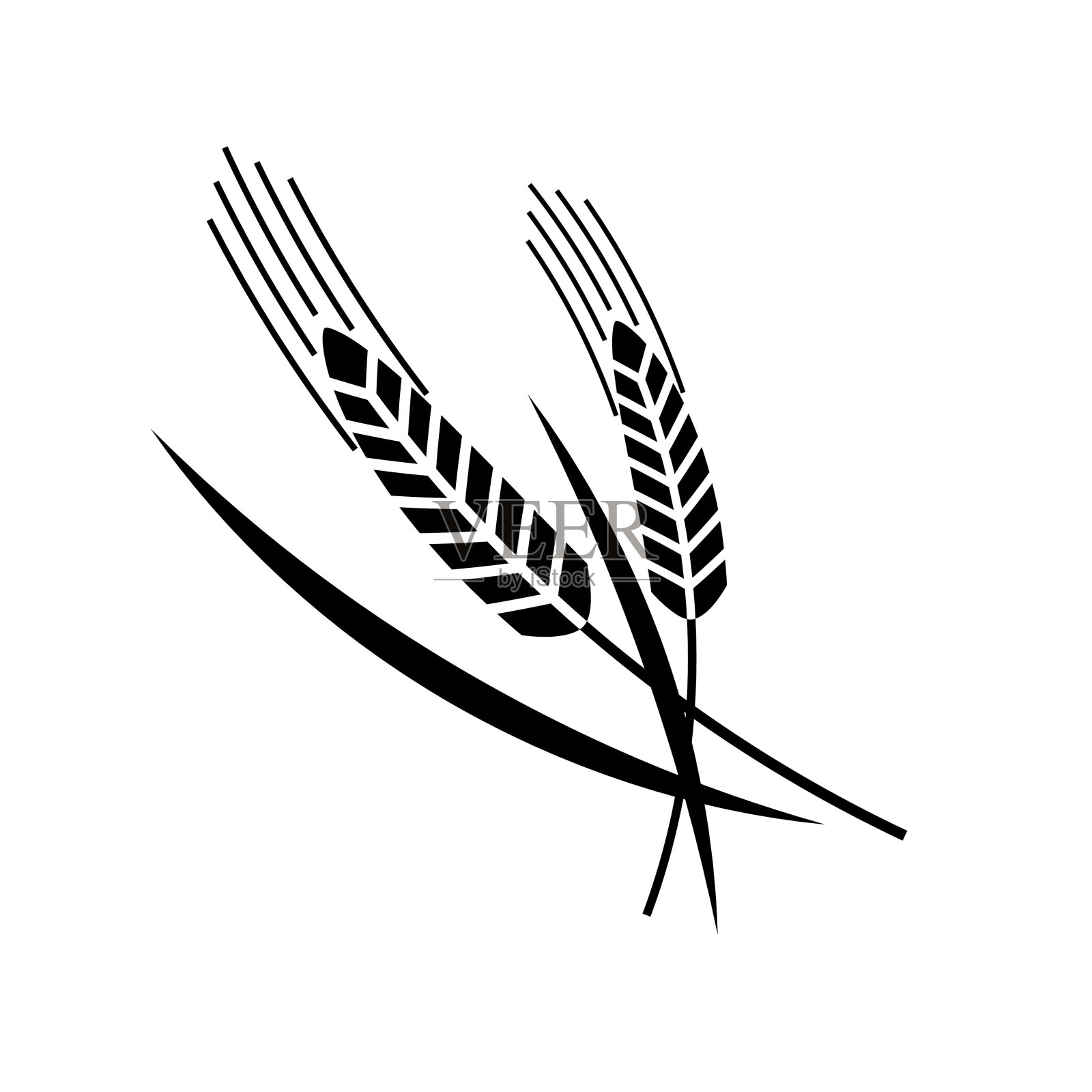 小麦设计元素插画图片素材