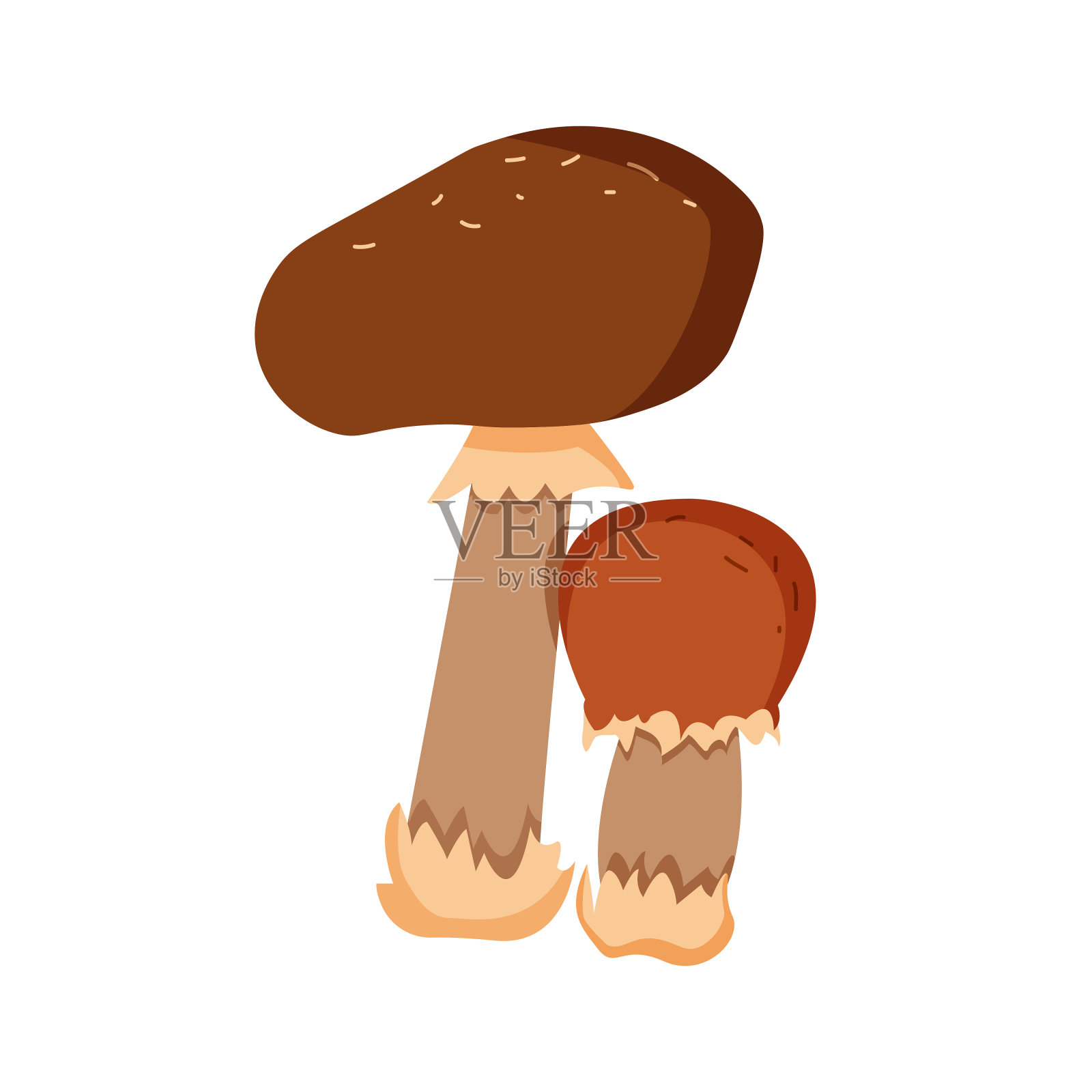 卡通蘑菇。森林野蘑菇插画图片素材