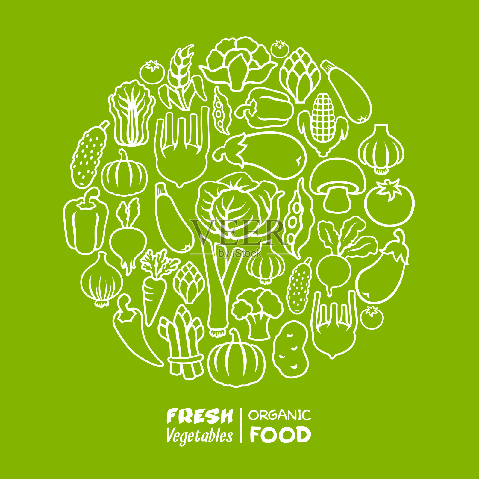 蔬菜圆构图与标志插画图片素材