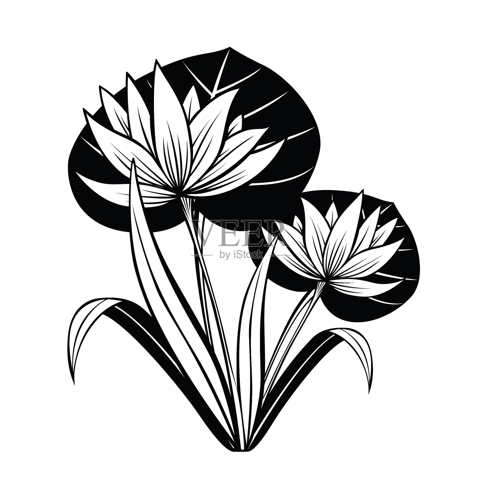 莲花插画图片素材